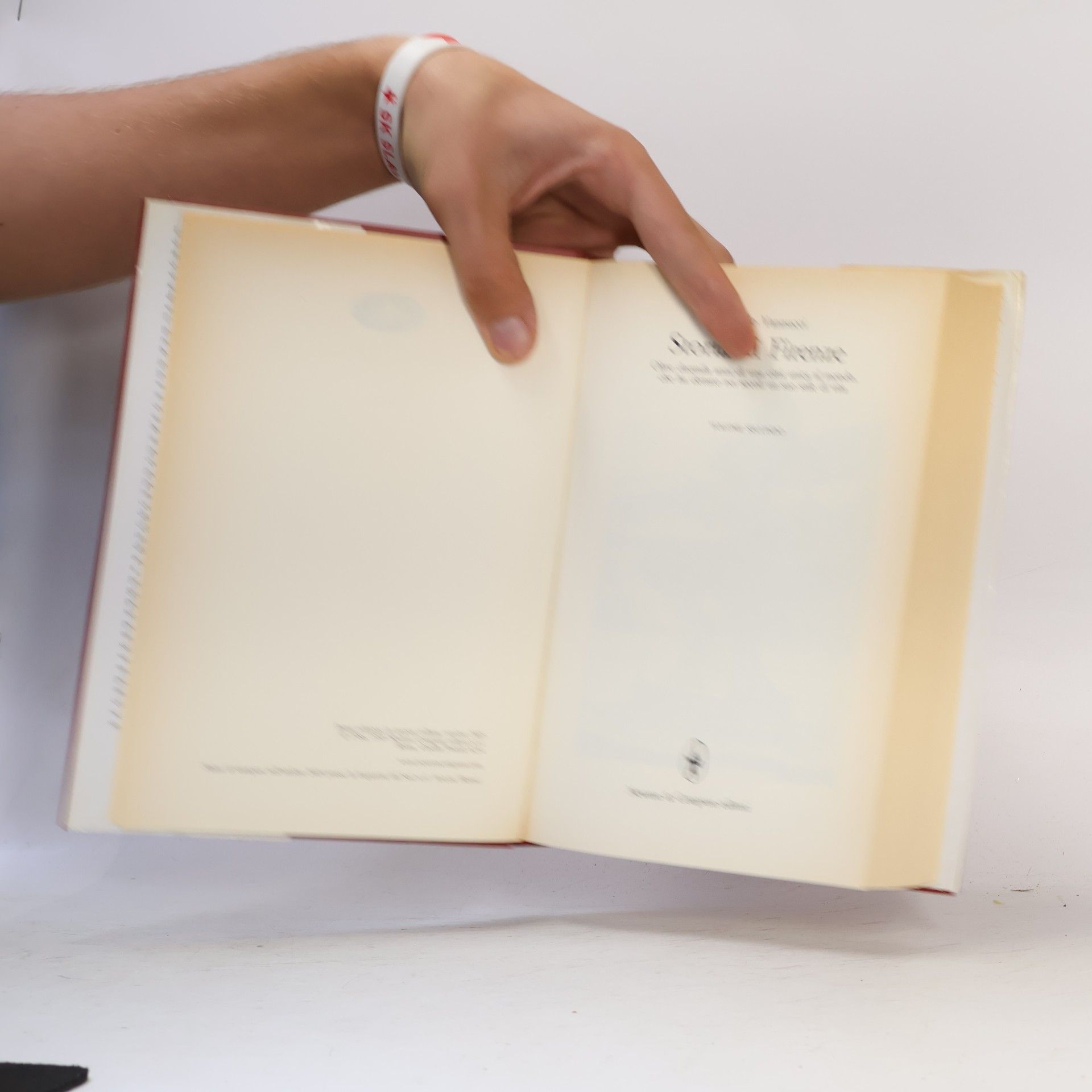Marcello Vannucci Biblioteca de La Nazione - 2: Storia di Firenze