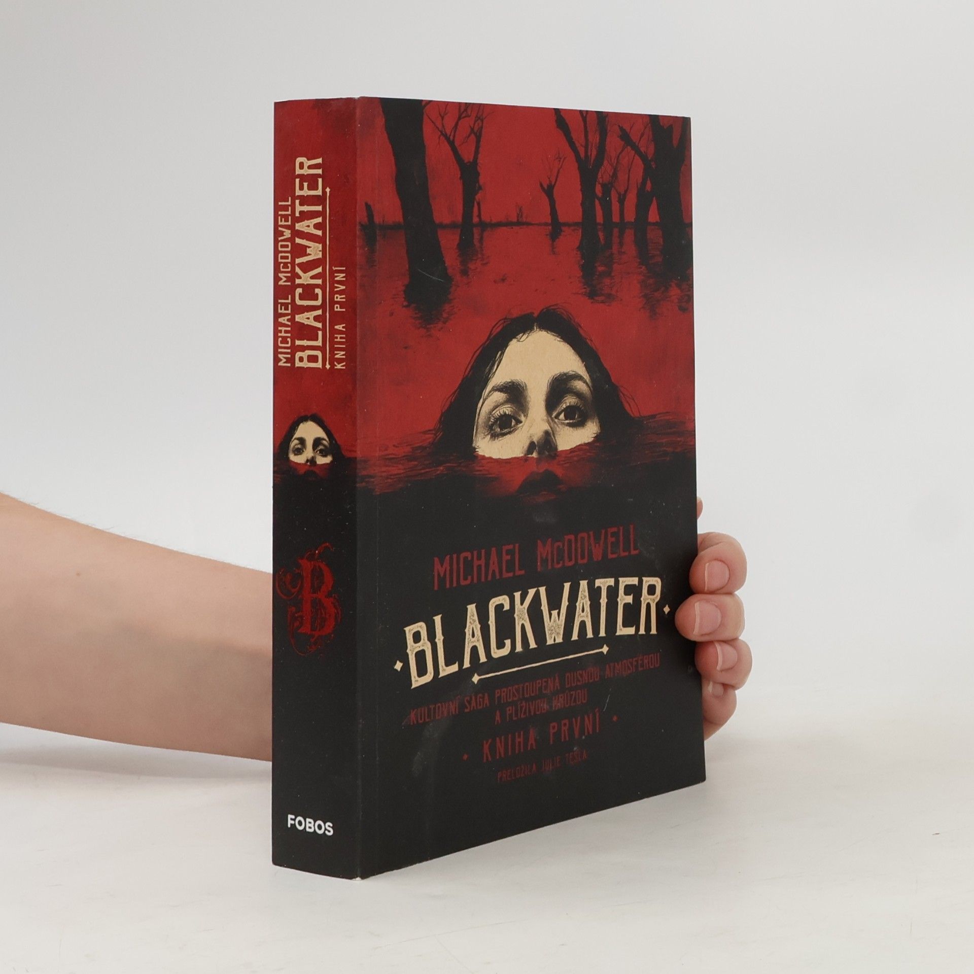 Michael McDowell Blackwater