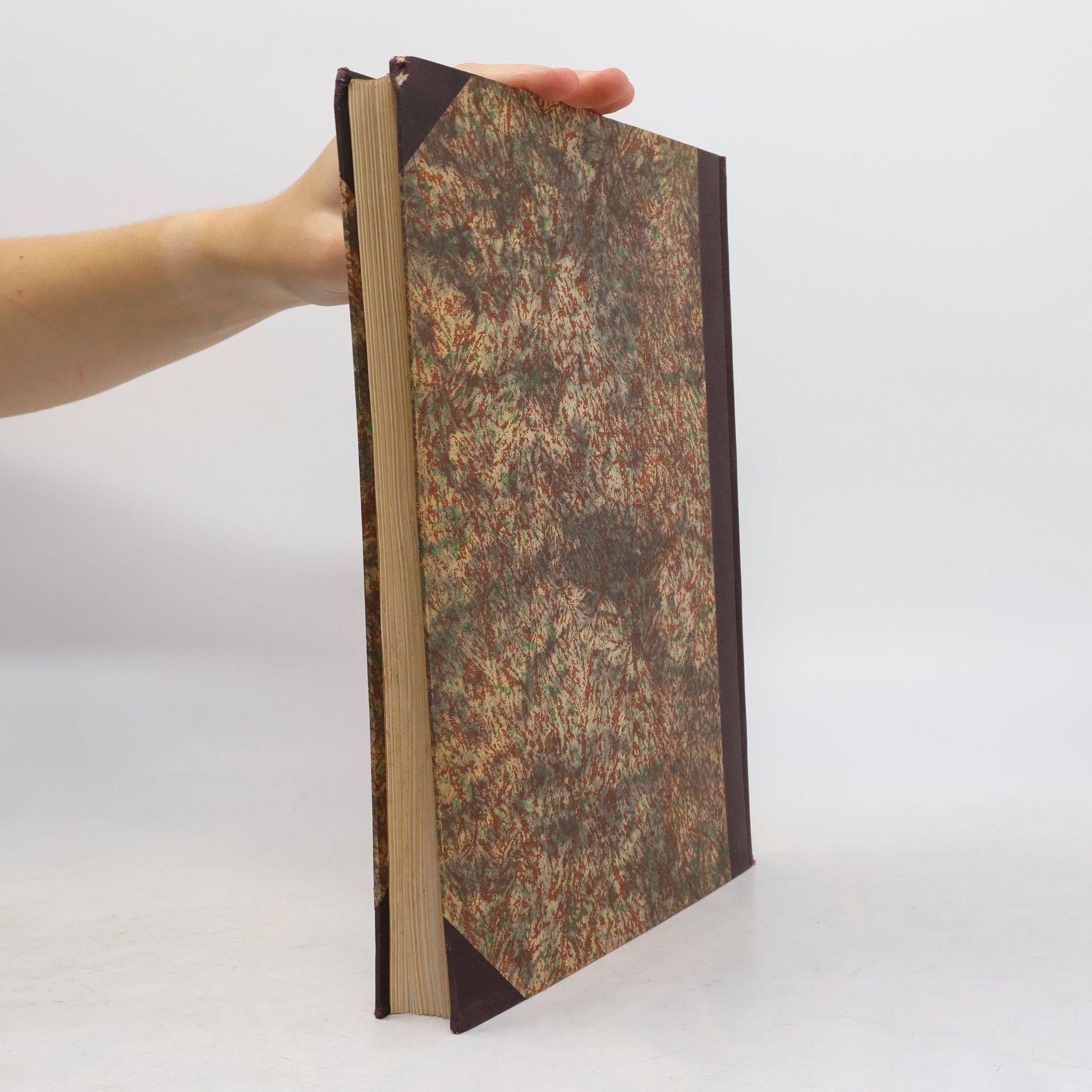 Autorenkollektiv Die Kunst. Monatshefte für freie und angewandte Kunst 82