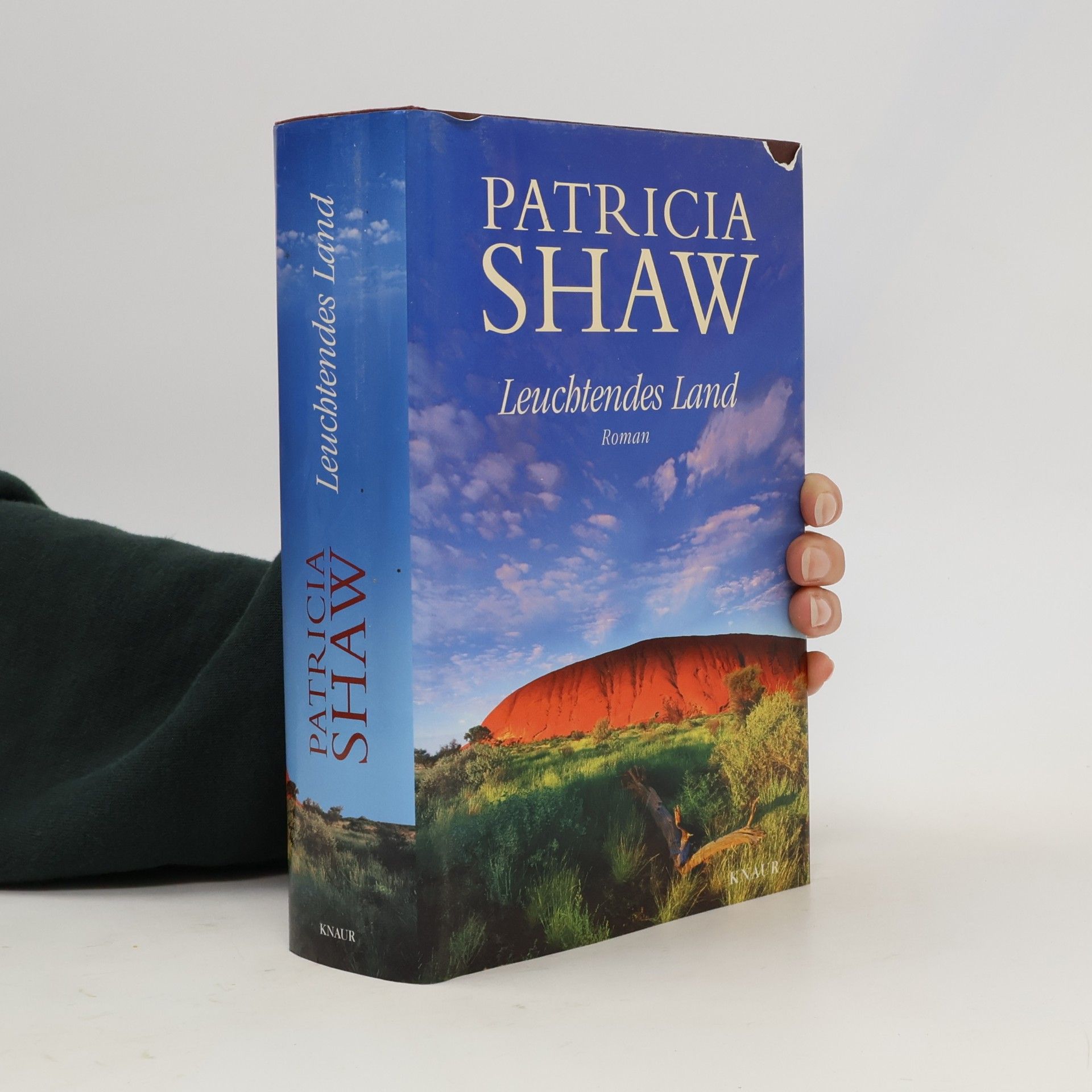 Patricia Shaw Leuchtendes Land