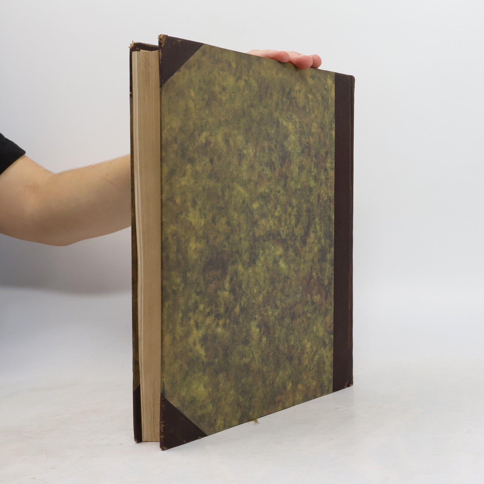 Autorenkollektiv Die Kunst: Monatshefte für freie und angewandte Kunst 63