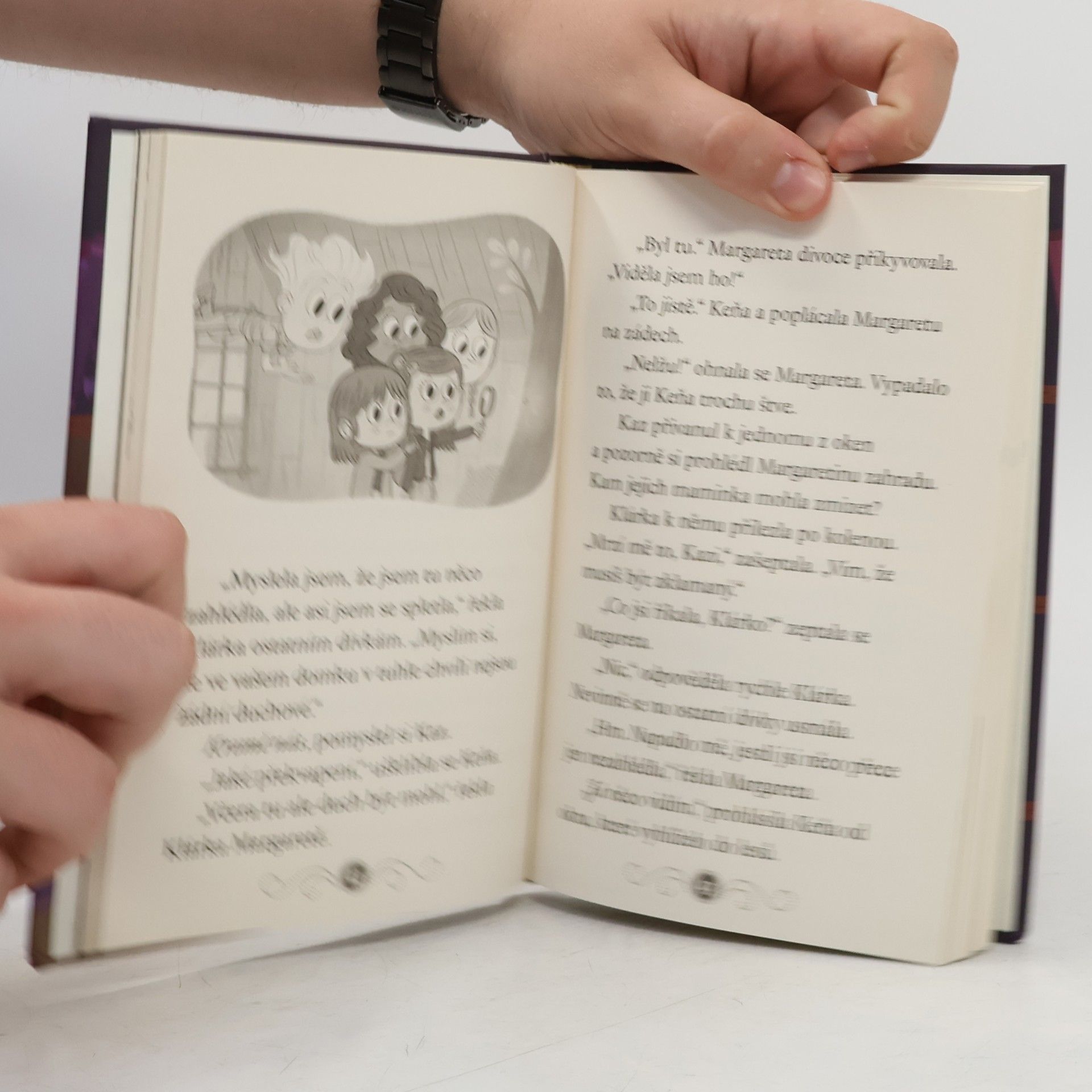 Dori Hillestad Butler Strašidelná knihovna. Duch na stromě