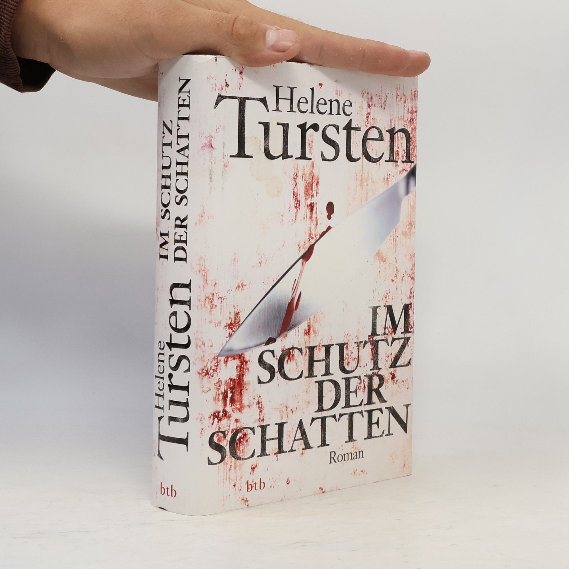 Helene Tursten Im Schutz der Schatten