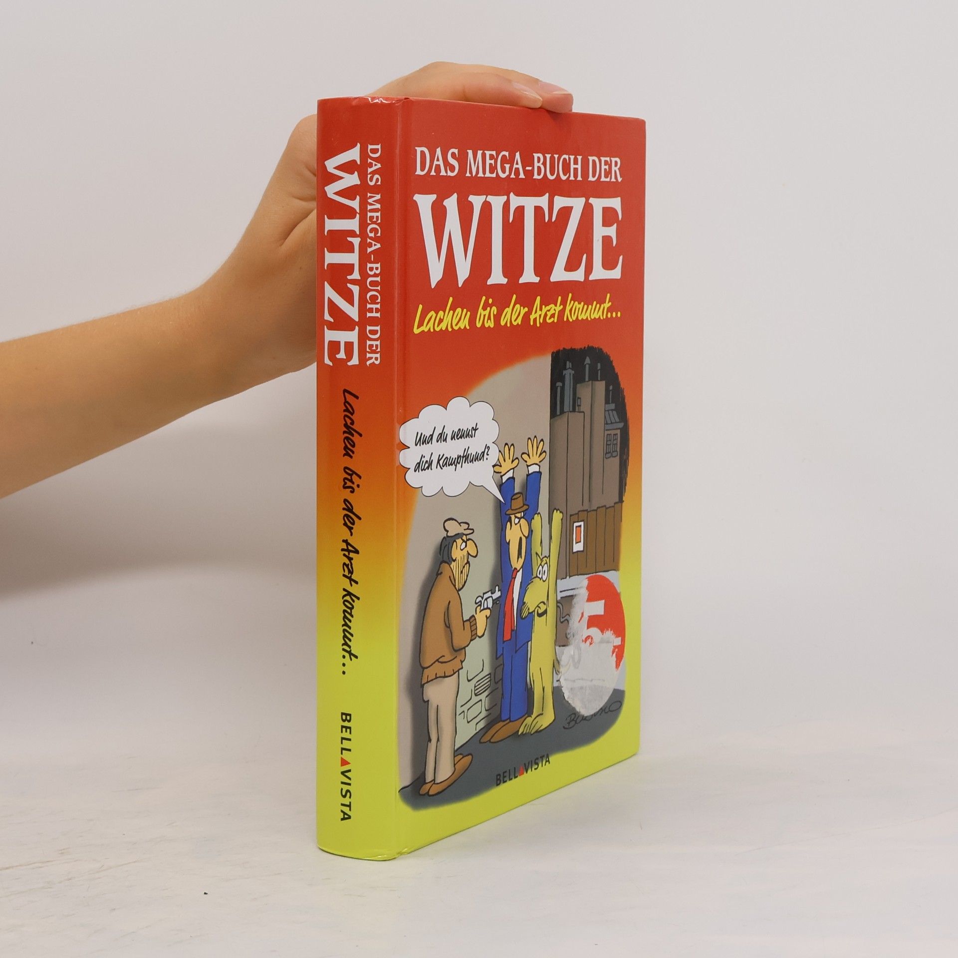 Various authors Das Mega-Buch der Witze