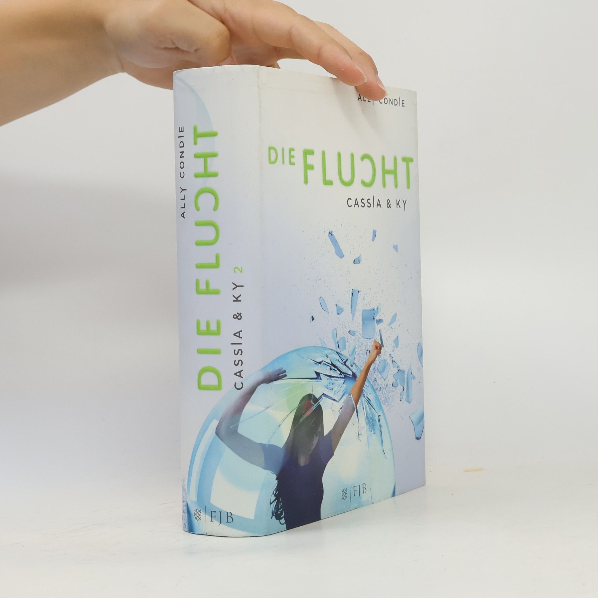 Ally Condie Die Flucht