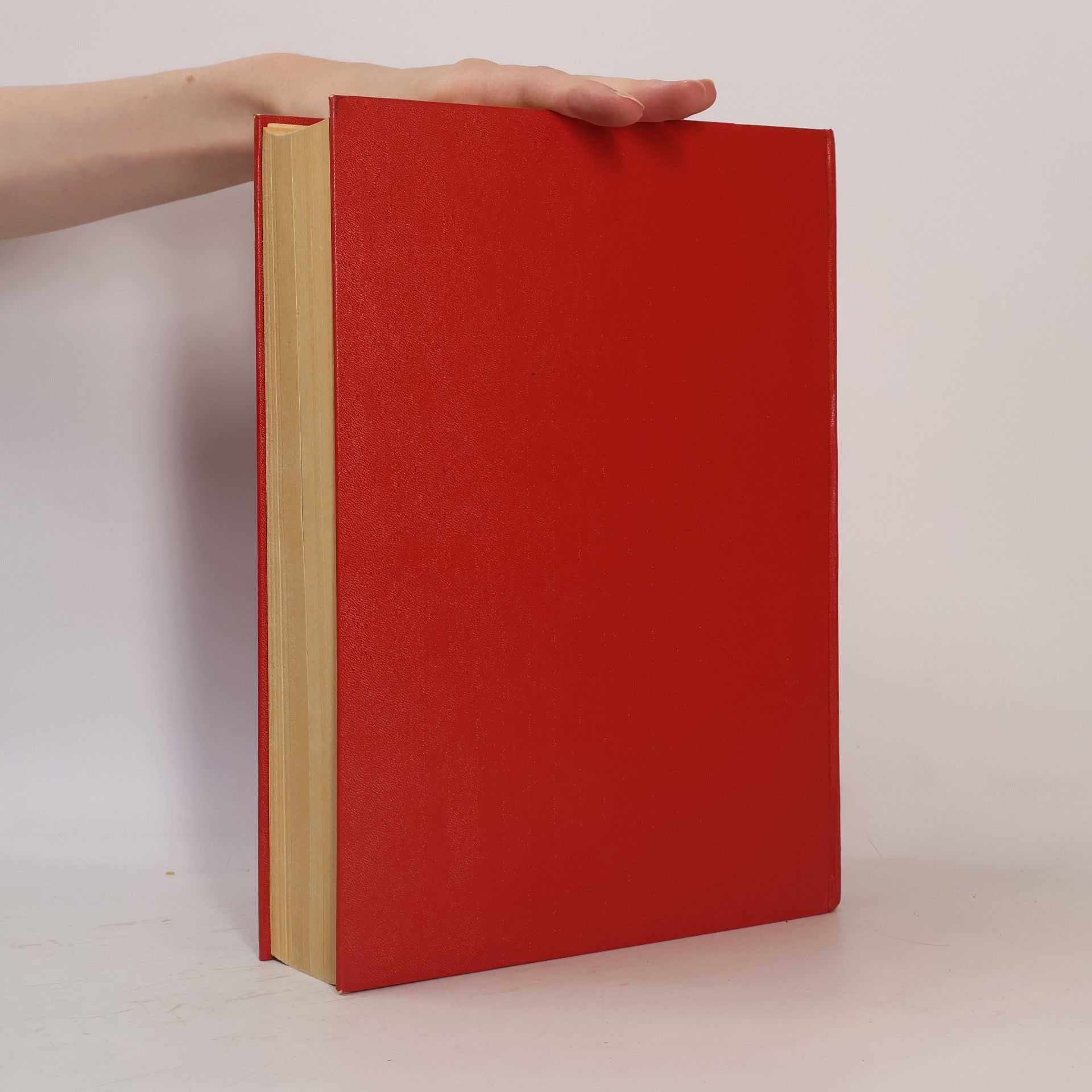 Kolektiv autorů Home Study Dictionary