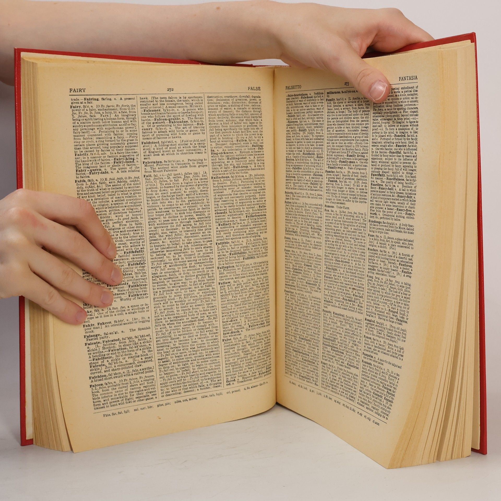 Kolektiv autorů Home Study Dictionary