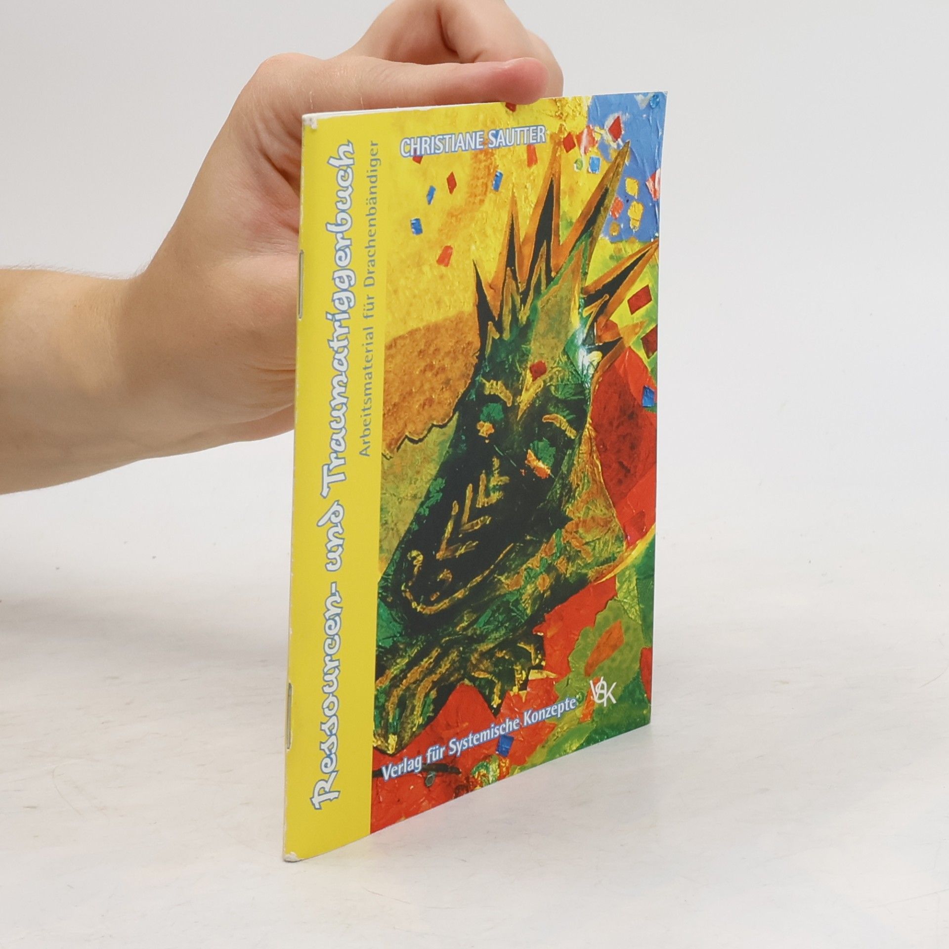 Ressourcen- und Traumatriggerbuch