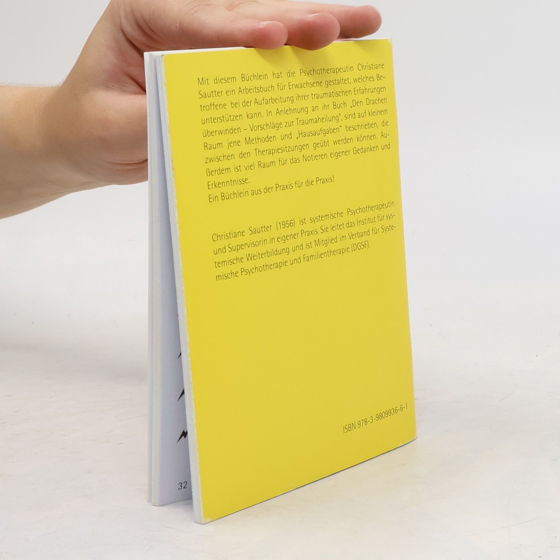 Christiane Sautter Ressourcen- und Traumatriggerbuch