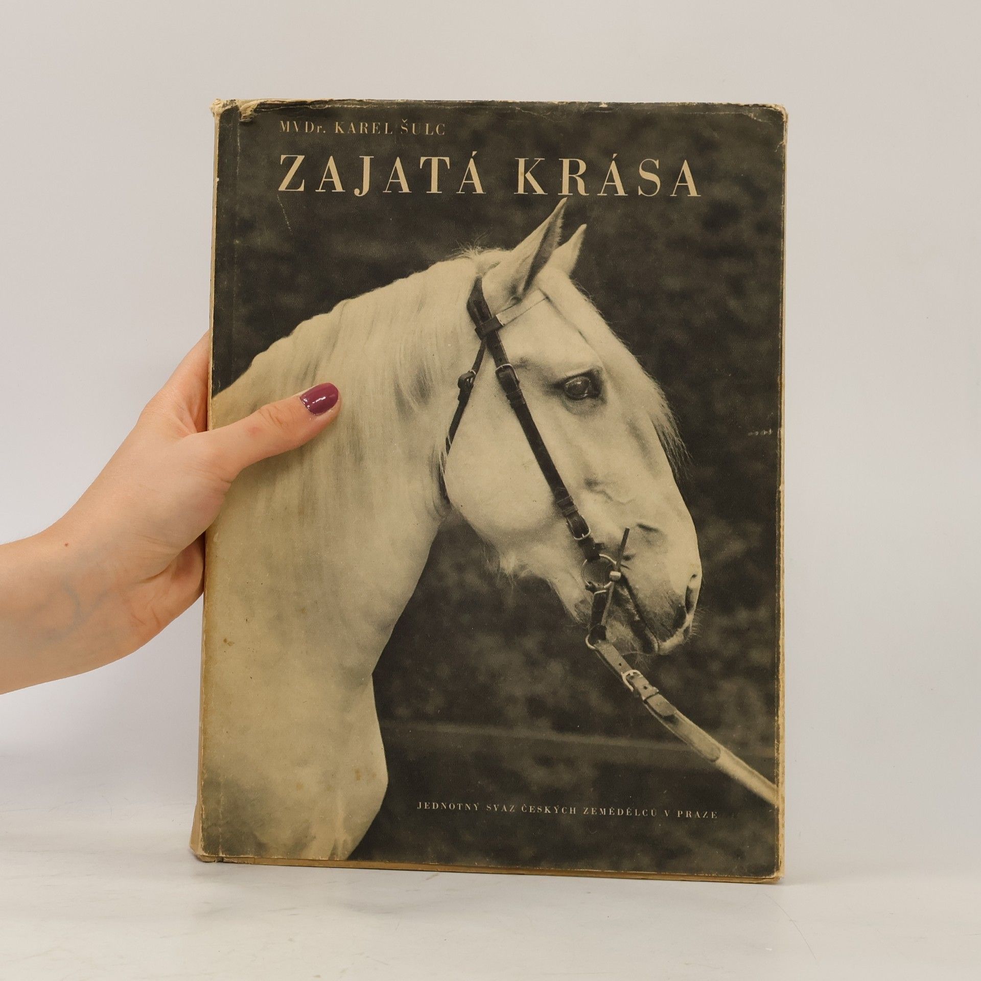 Karel Šulc Zajatá krása. Soubor fotografických obrázků ze života koně, mlčenlivého přítele člověka