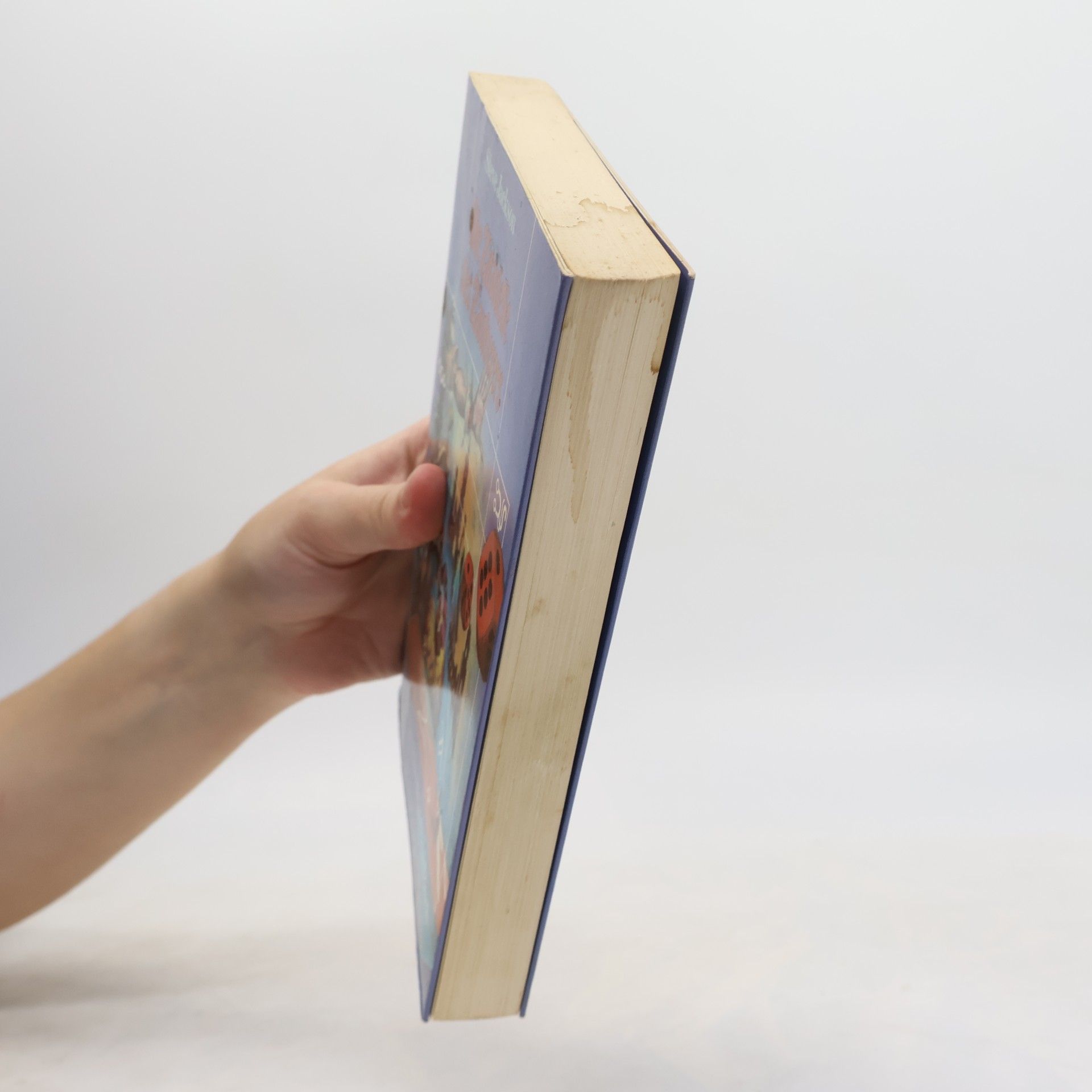 Steve Jackson Die Zitadelle des Zauberers. Ein Fantasy Abenteuer Spiel Buch.