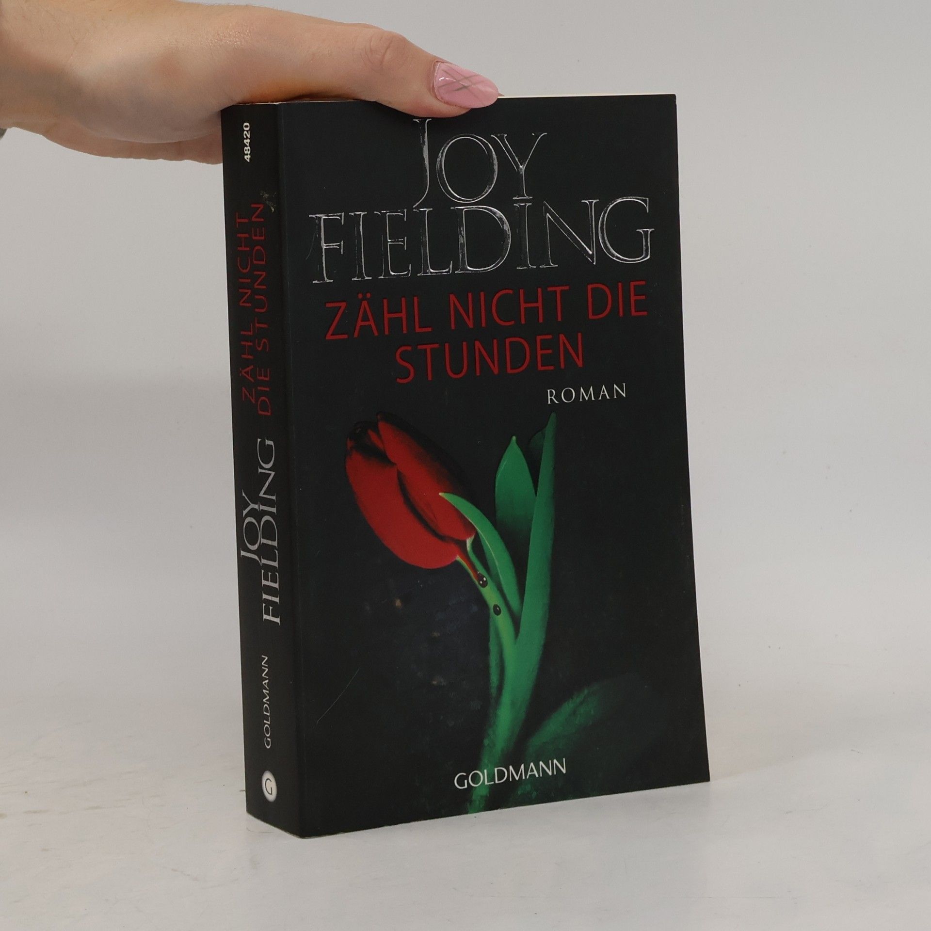 Joy Fielding Zähl nicht die Stunden