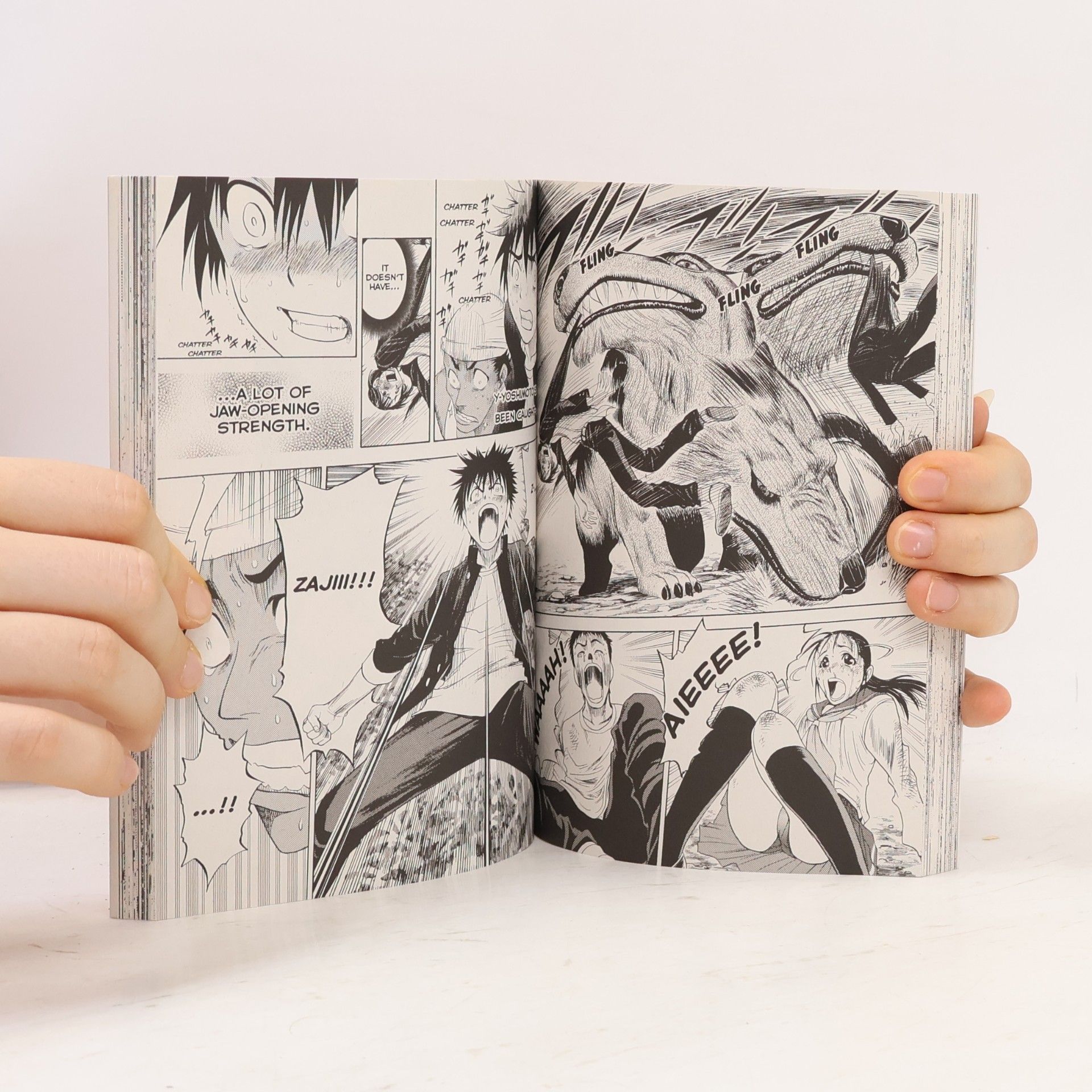 Yoshinobu Yamada Cage of Eden 2