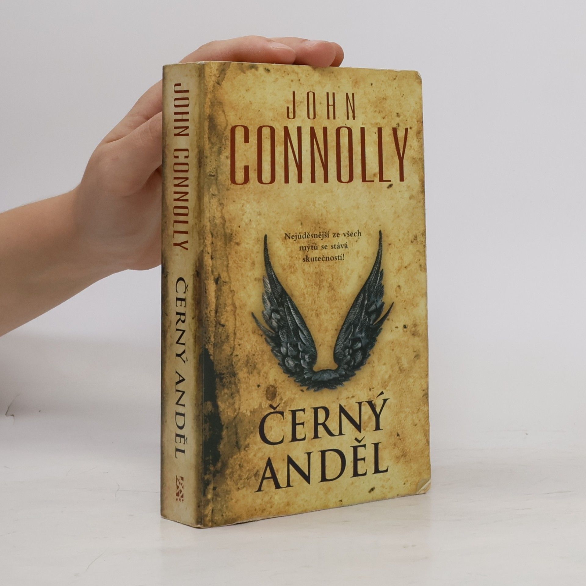 John Connolly Černý anděl