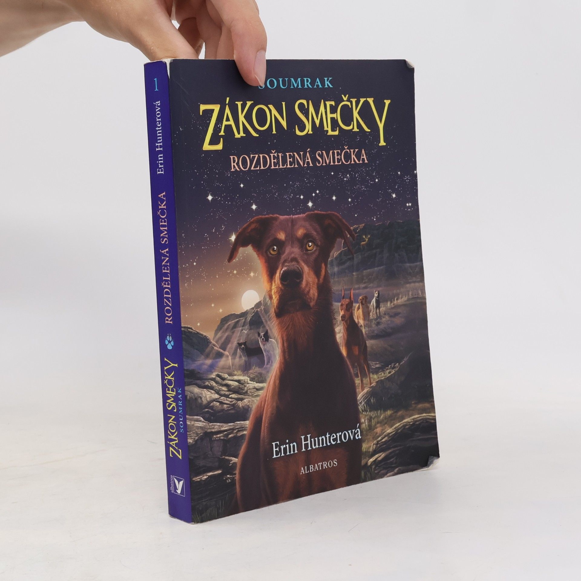 Erin Hunter Rozdělená smečka