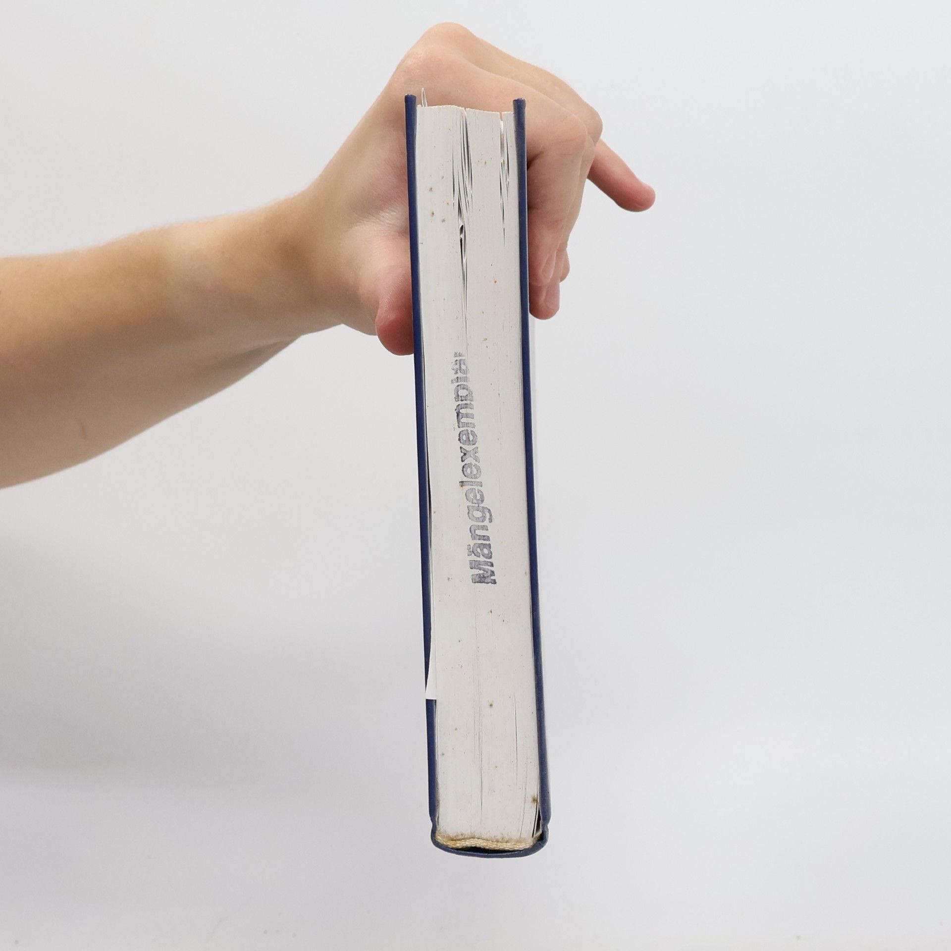 Gottfried Fischer Lehrbuch der Psychotraumatologie