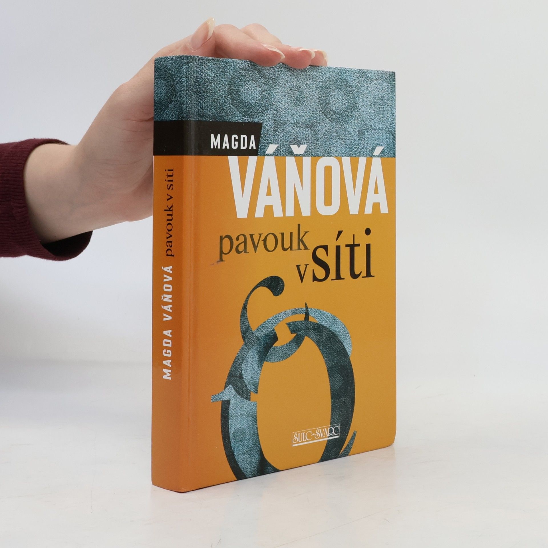 Pavouk v síti