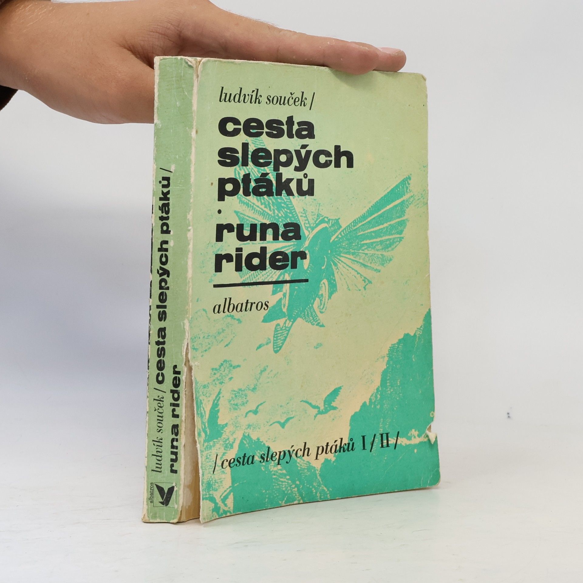 Ludvík Souček Cesta slepých ptáků. Runa rider