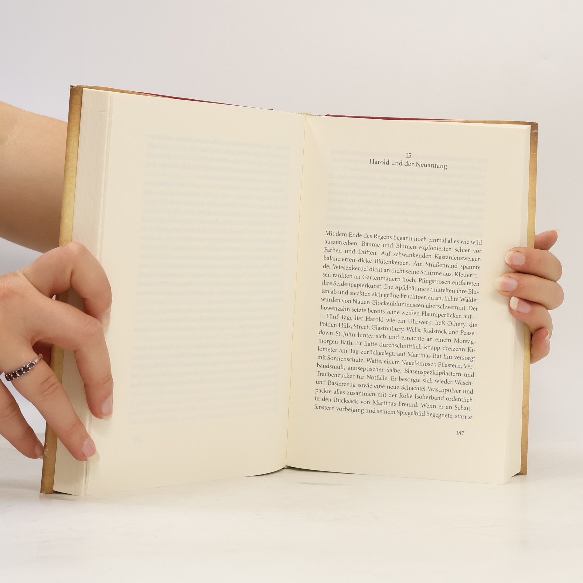 Rachel Joyce Die unwahrscheinliche Pilgerreise des Harold Fry