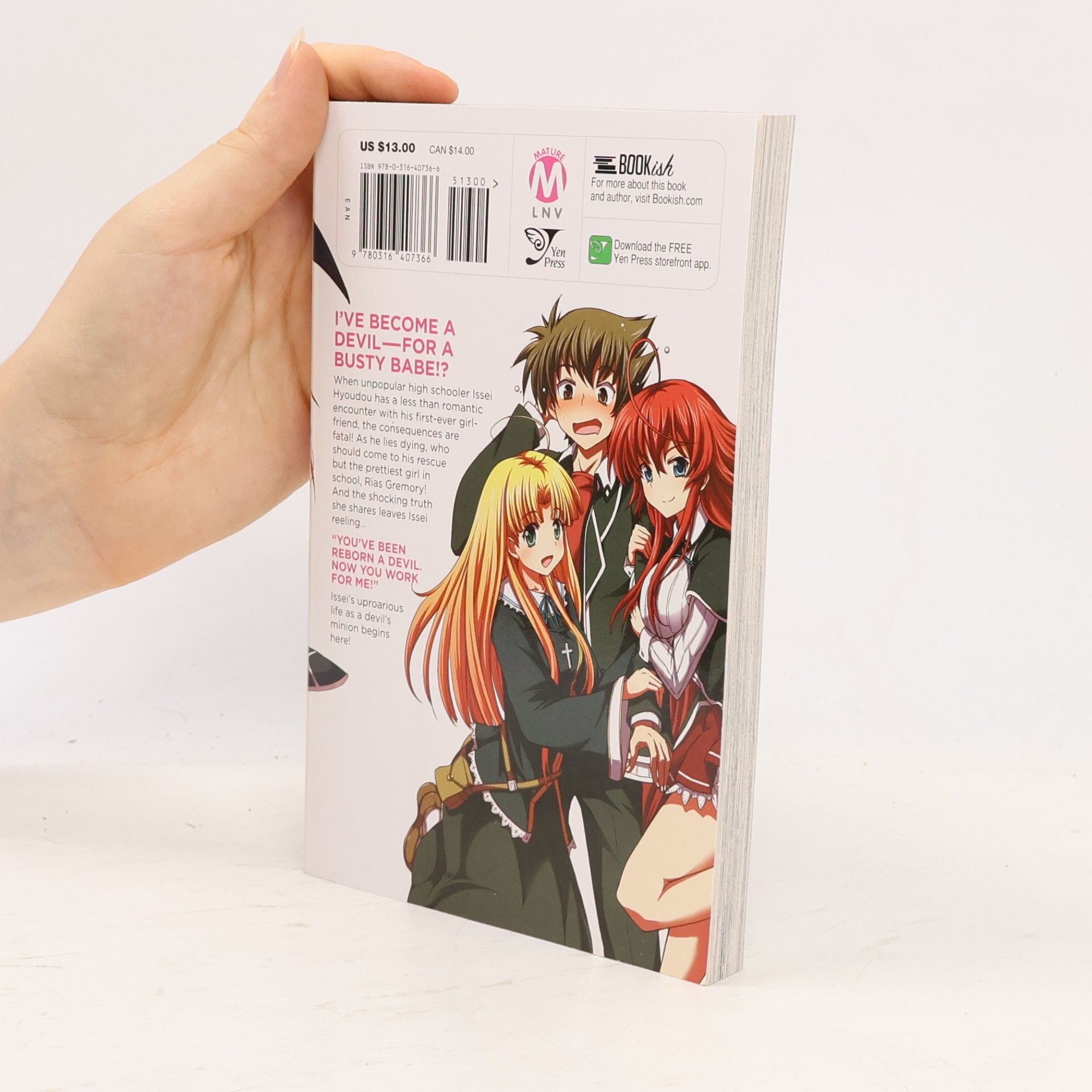Ichiei Ishibumi High School DxD
