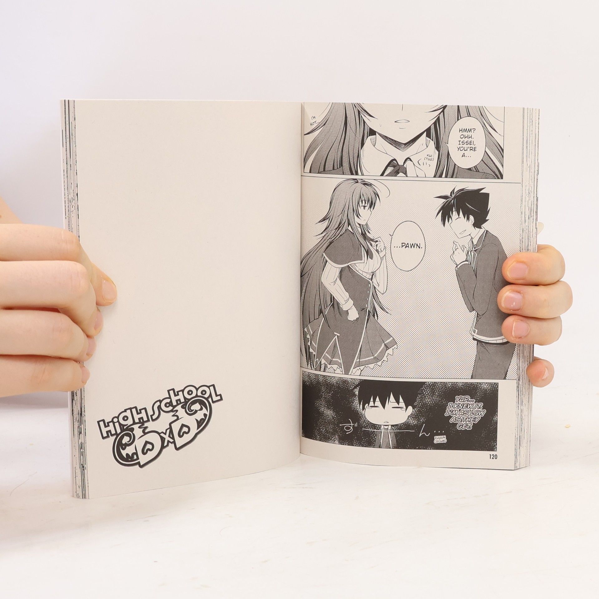 Ichiei Ishibumi High School DxD