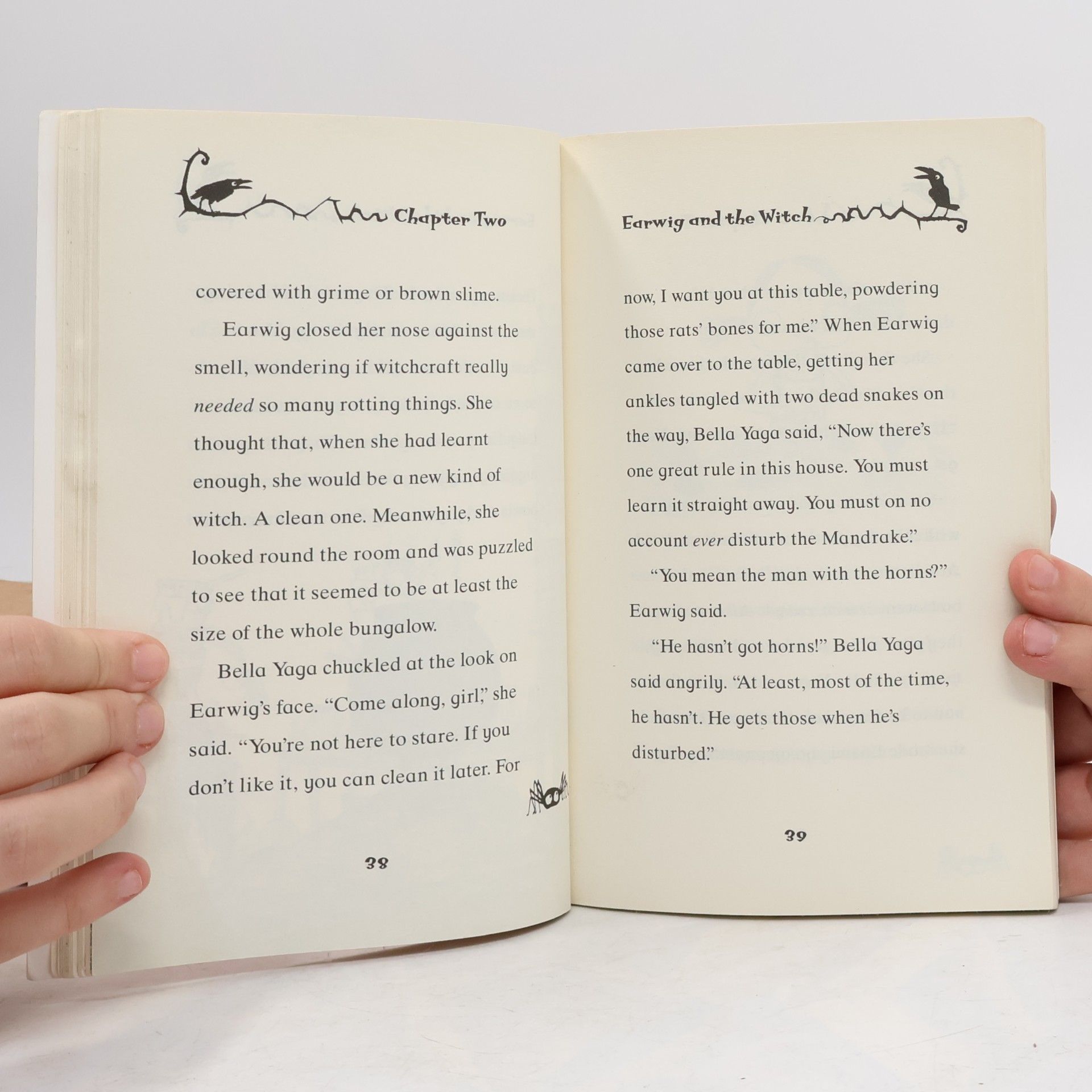 Diana Wynne Jones Earwig and the Witch