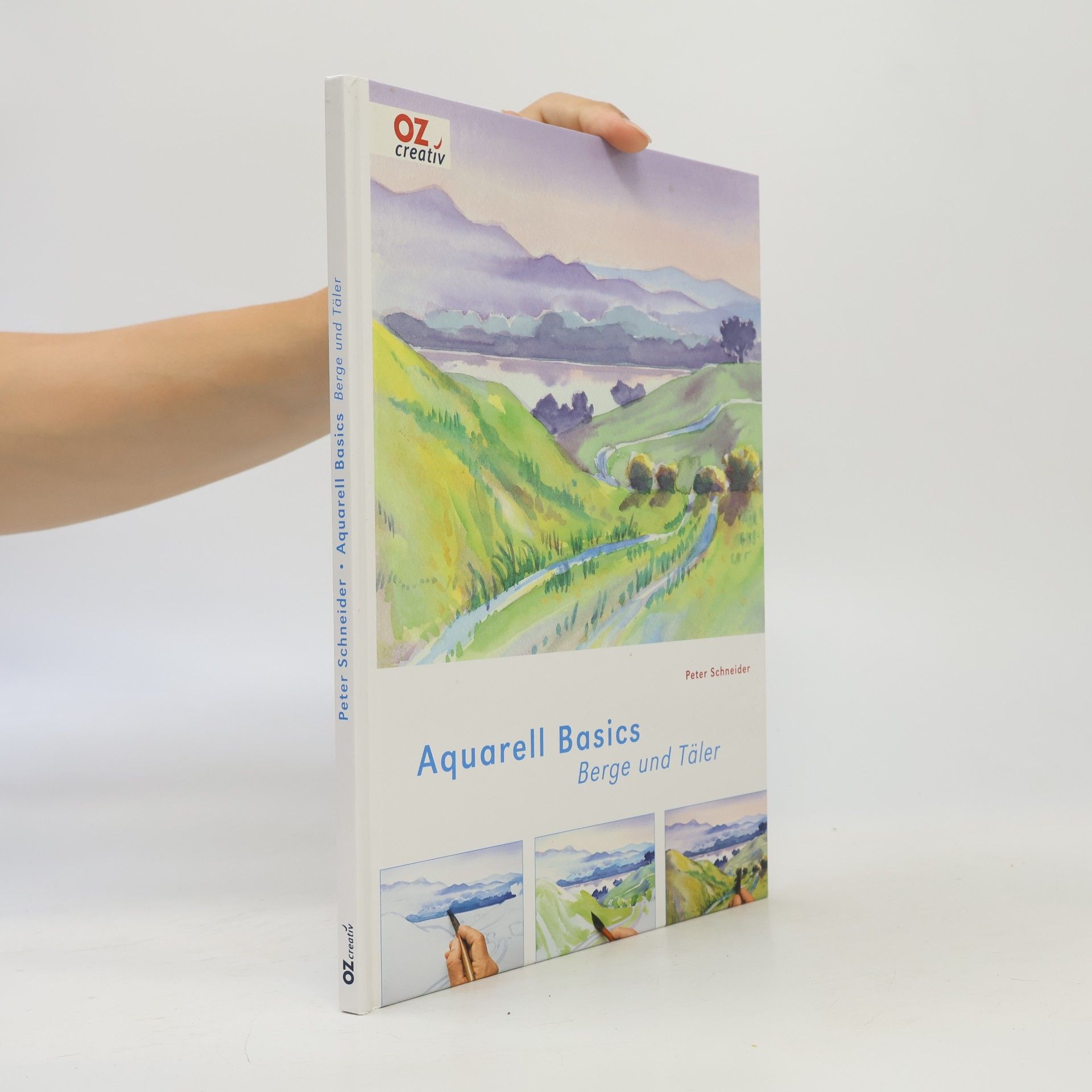 Peter K. Schneider Aquarell Basics - Berge und Täler