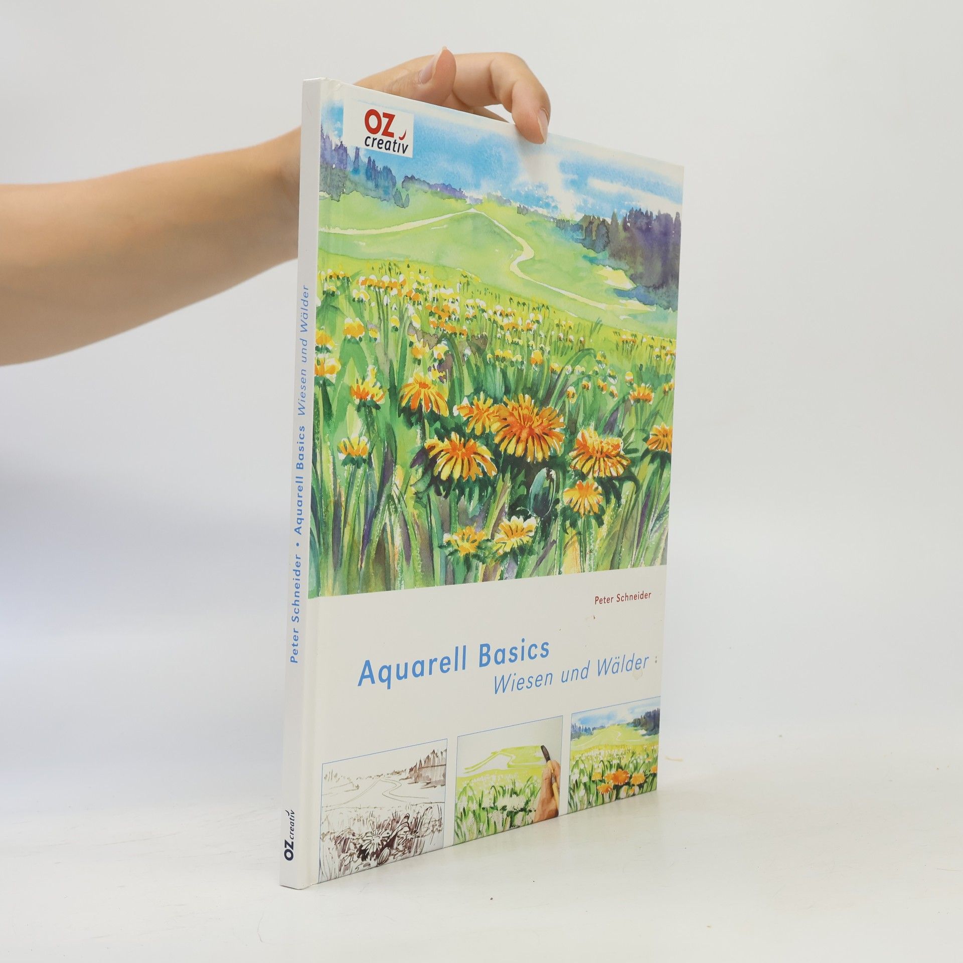 Peter Schneider Aquarell Basics - Wiesen und Wälder