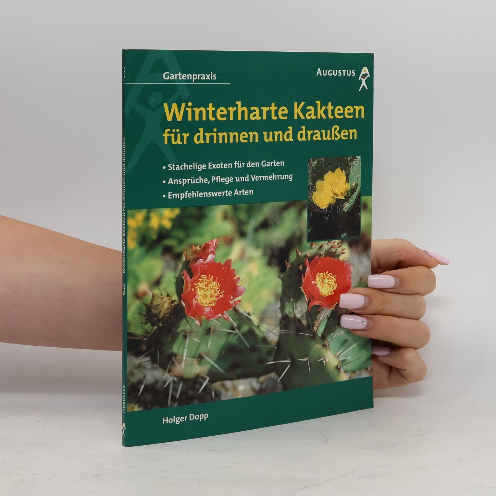Winterharte Kakteen für drinnen und draußen