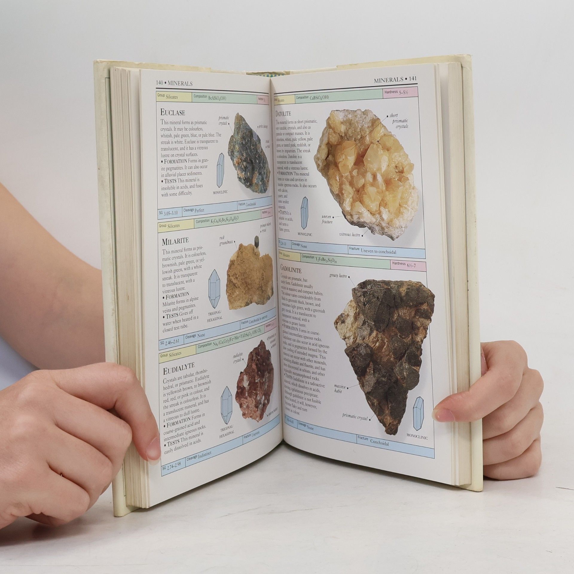 Chris Pellant Eyewitness Handbooks - 1: Rocks and Minerals