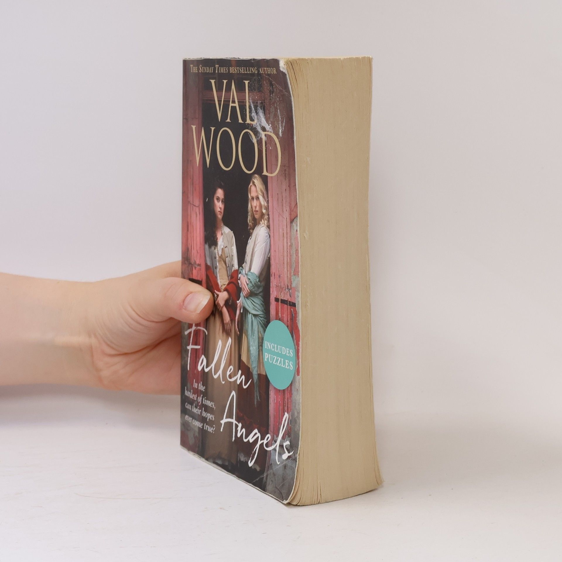 Val Wood Fallen Angels
