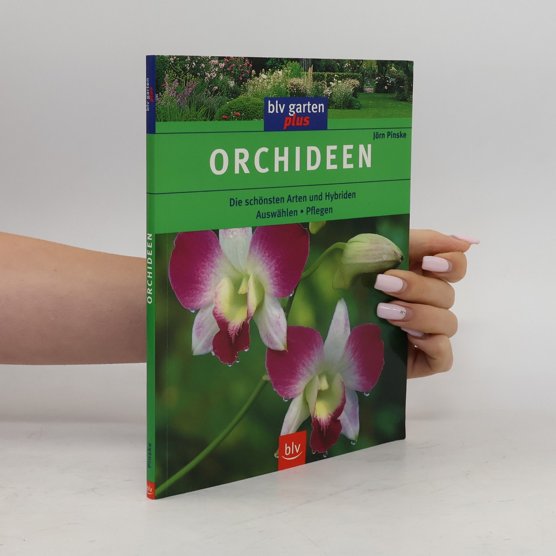Jörn Pinske Orchideen