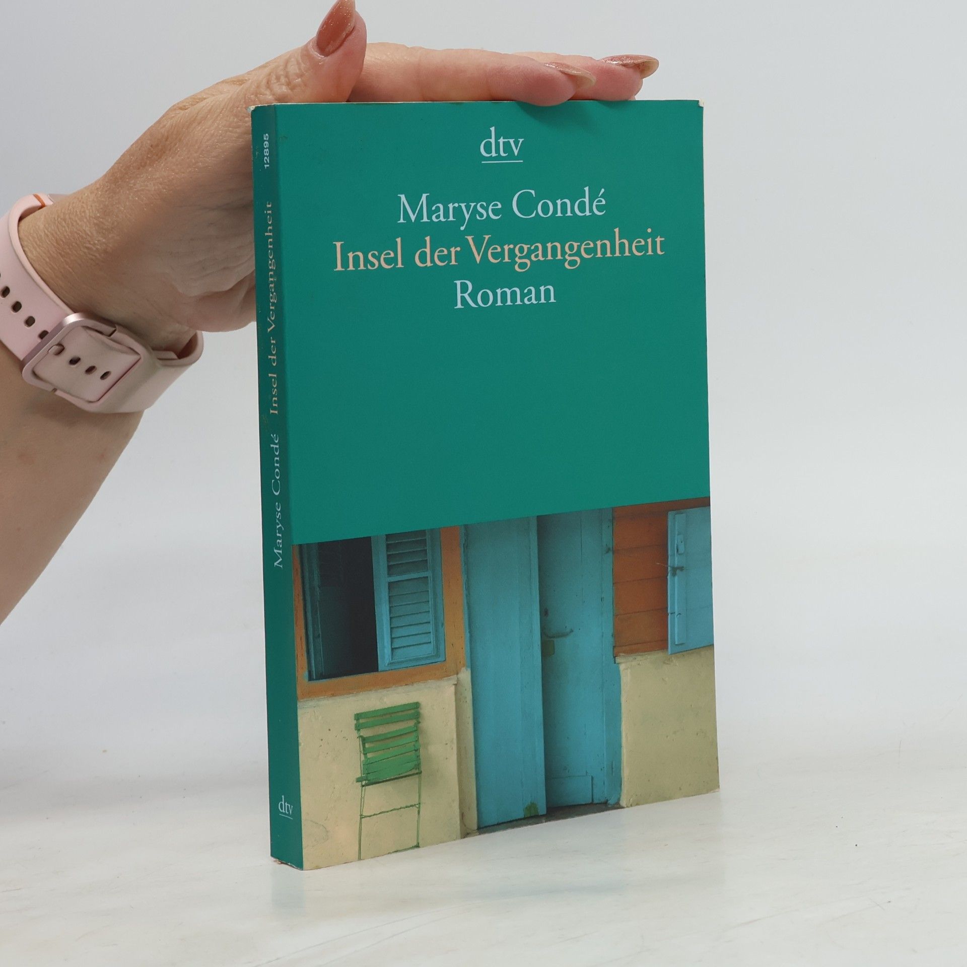 Maryse Condé Insel der Vergangenheit