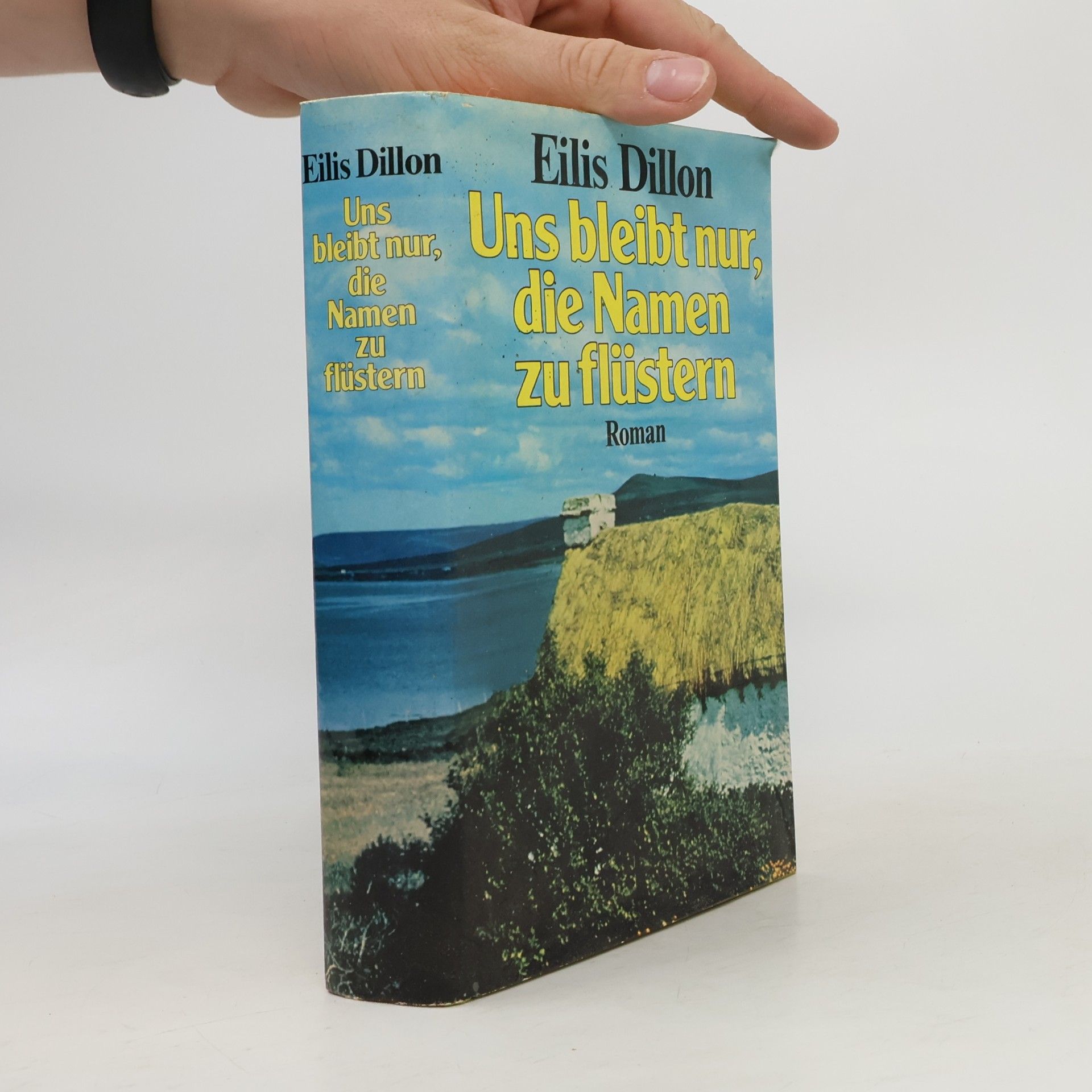 Eilís Dillon Uns bleibt nur, die Namen zu flüstern