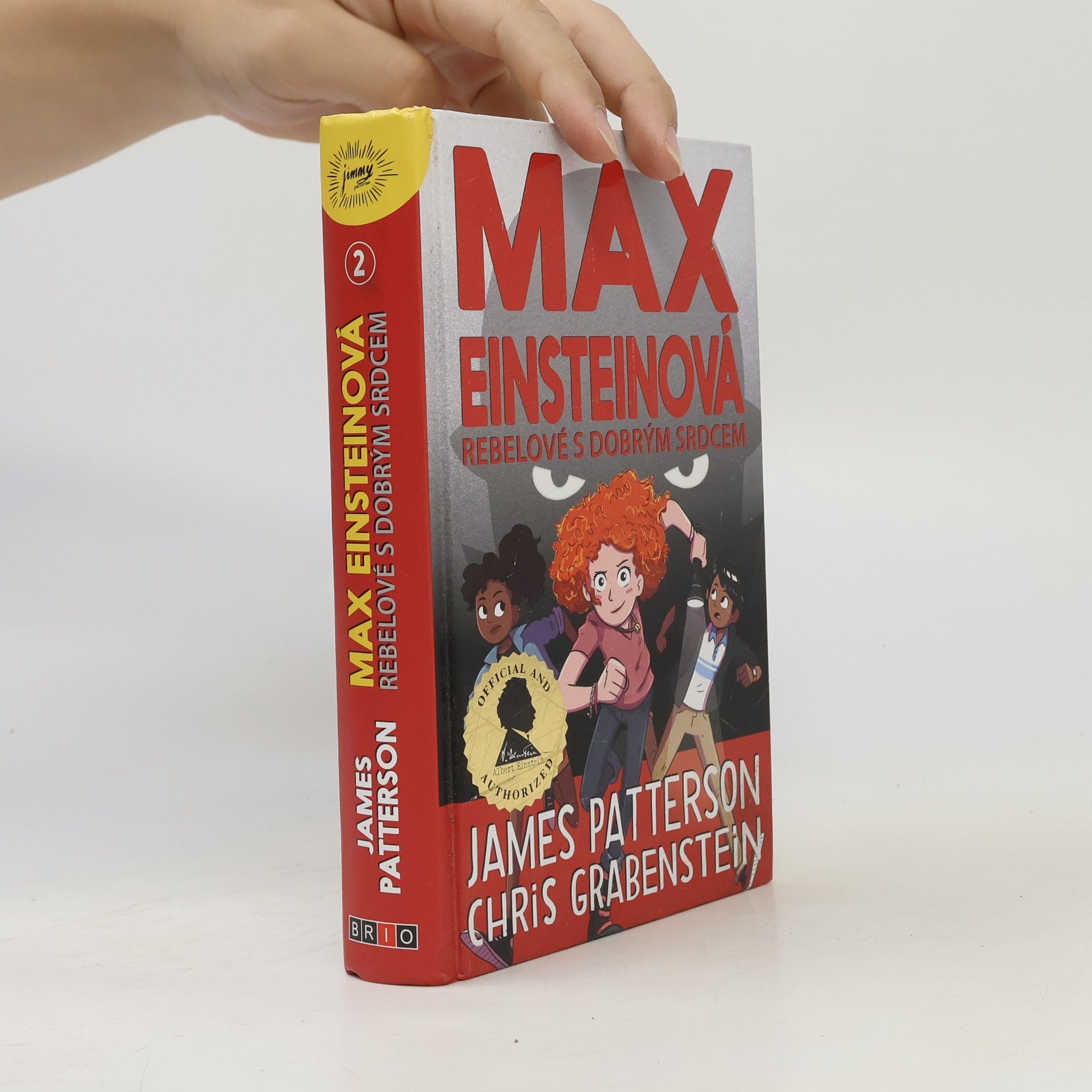 James Patterson Rebelové s dobrým srdcem