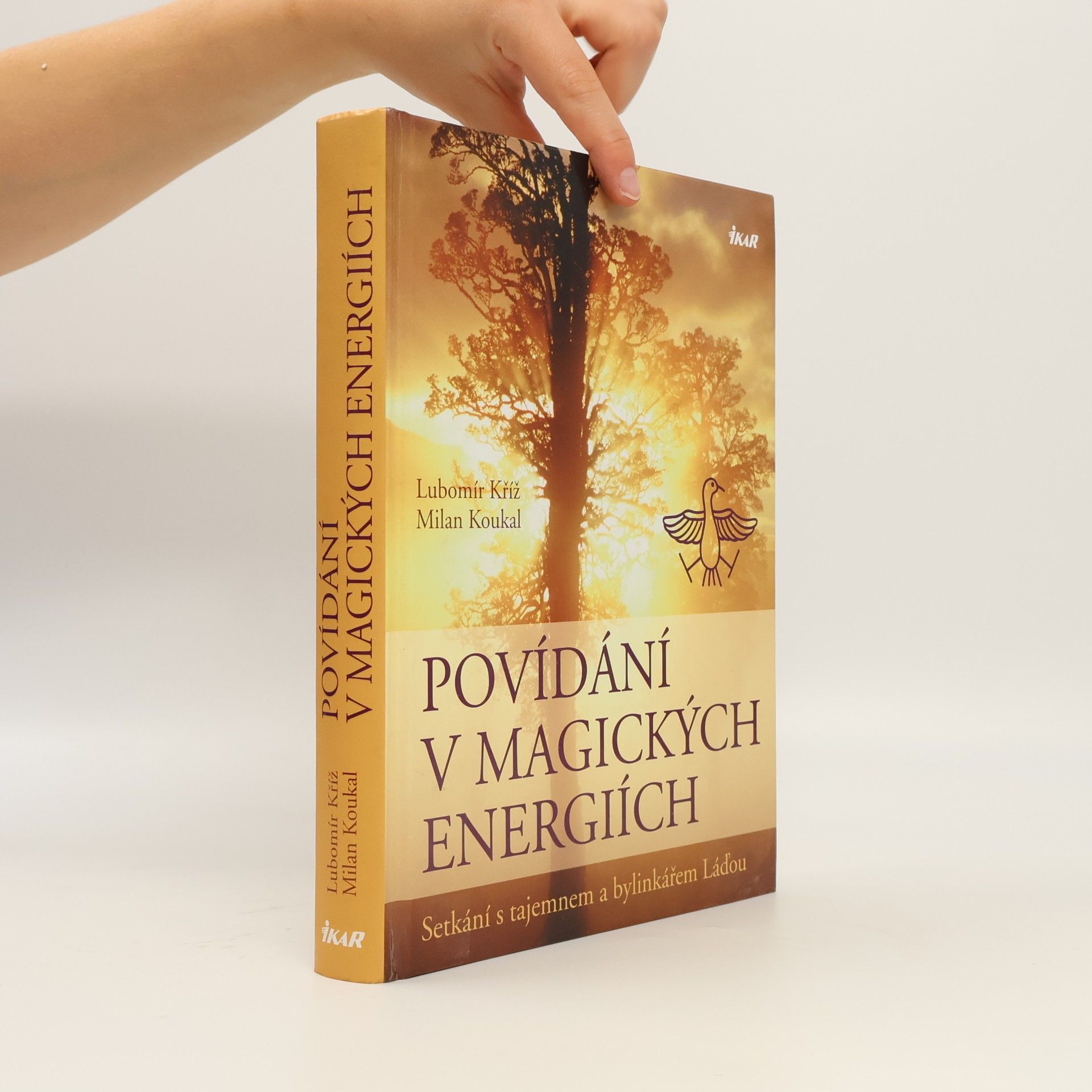 Lubomír Kříž Povídání v magických energiích