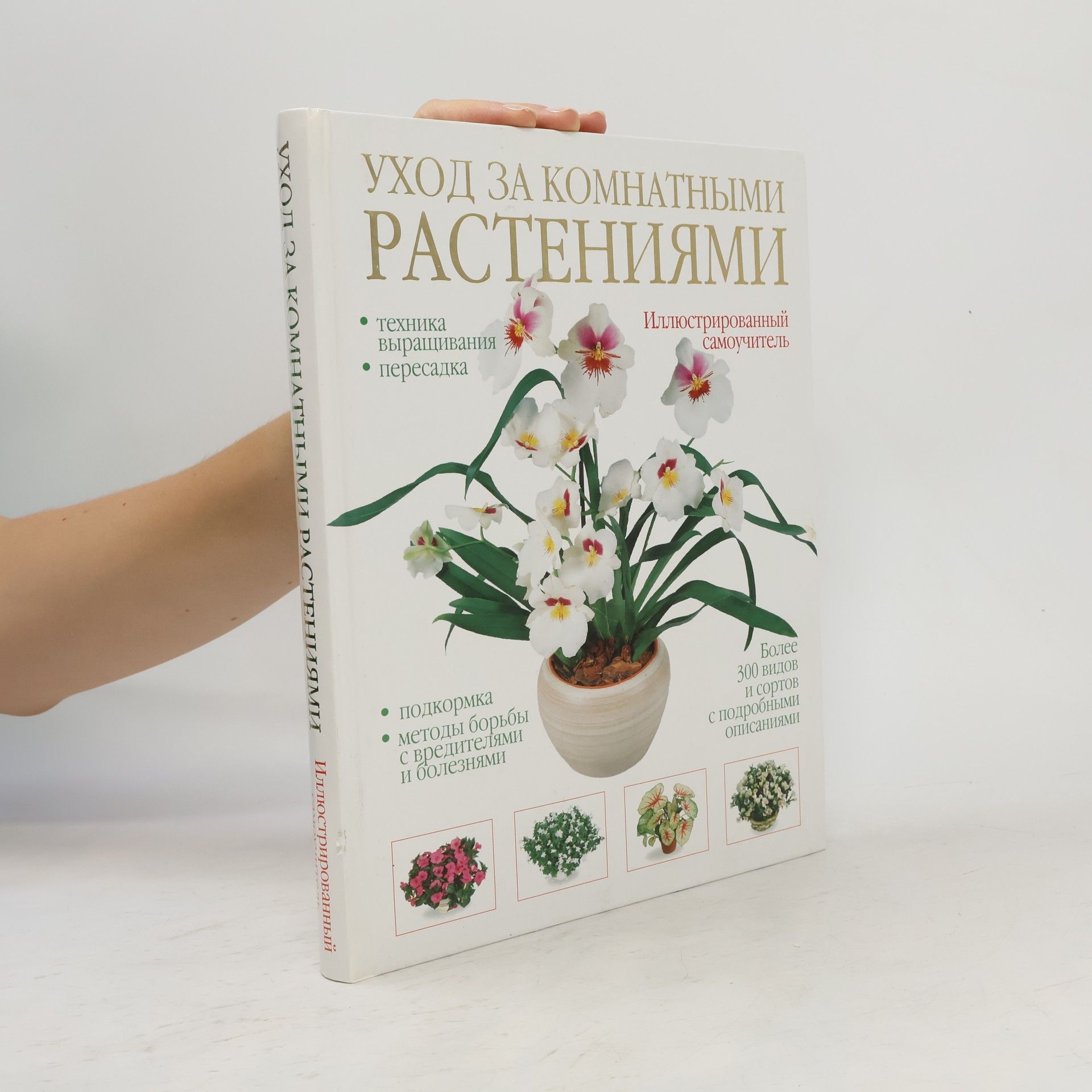 Уход за комнатными растениями