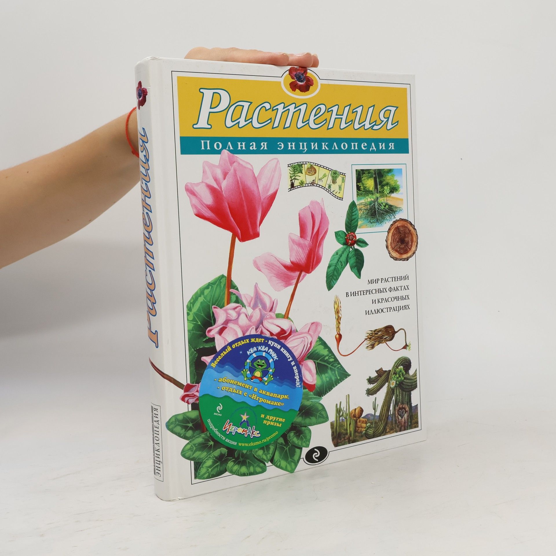 Растения