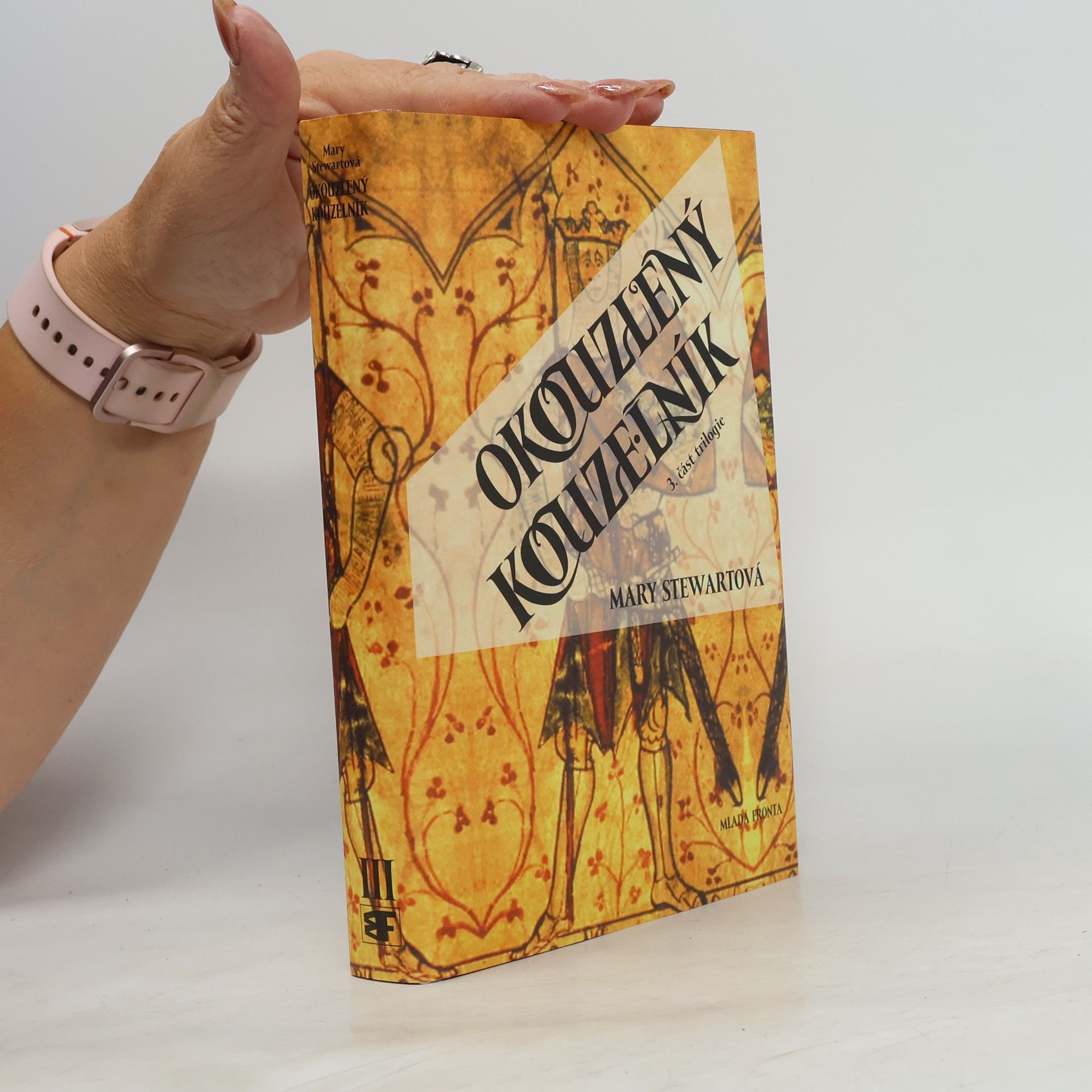 Mary Stewart Okouzlený kouzelník