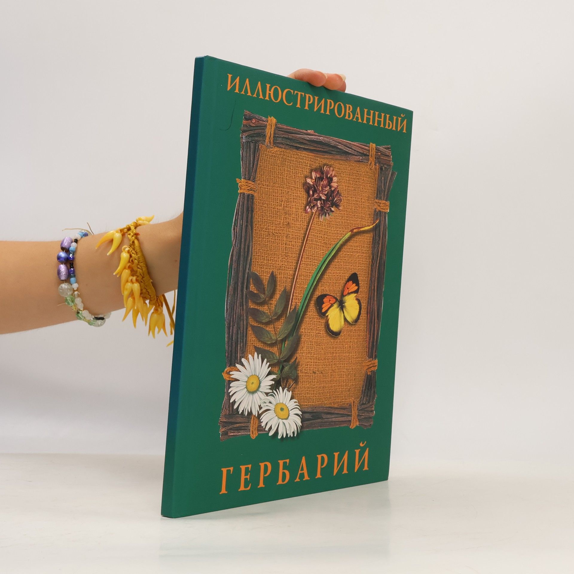 А.Н. Маневич Иллюстрированный гербарий
