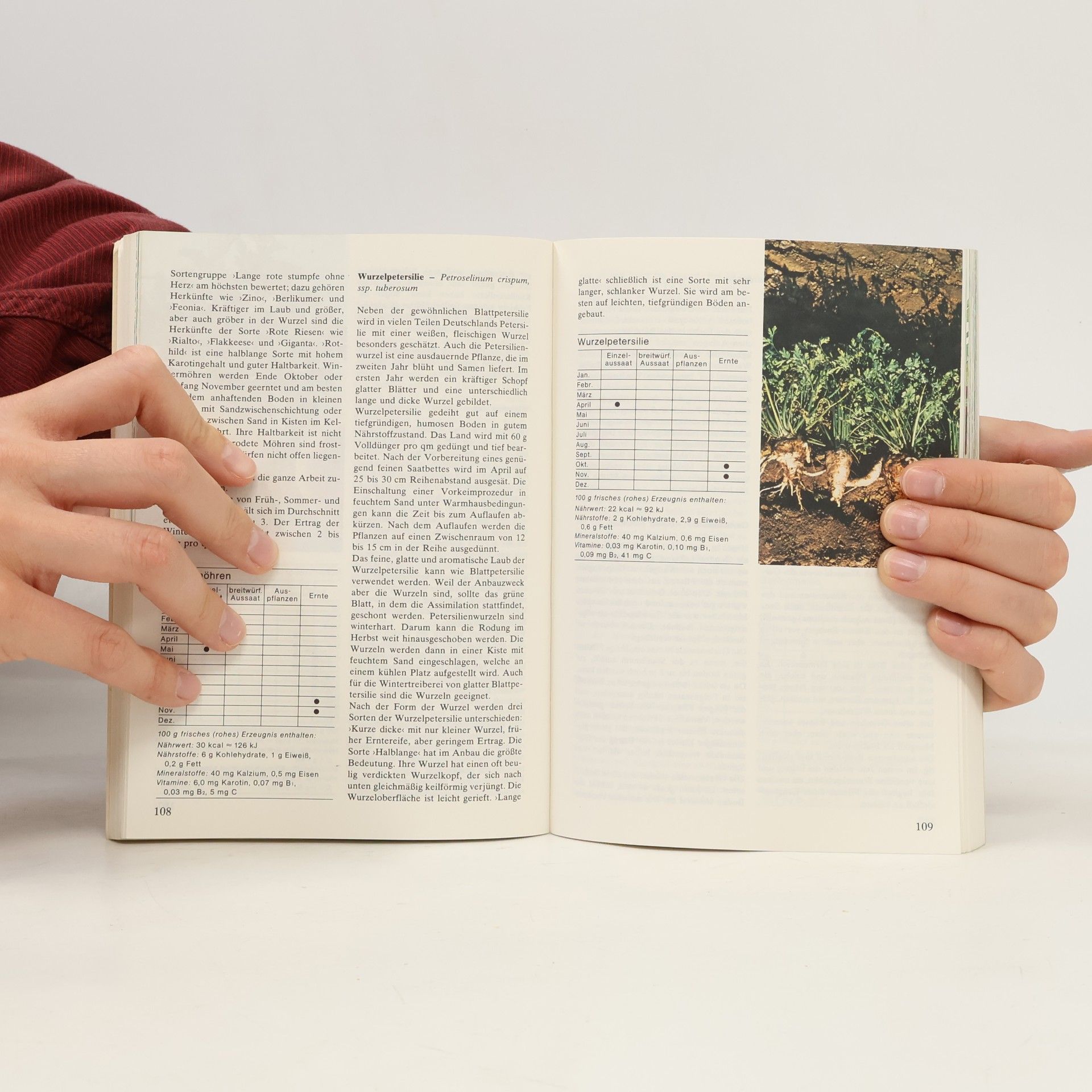 Tjerk Buishand Knaurs Gemüsebuch