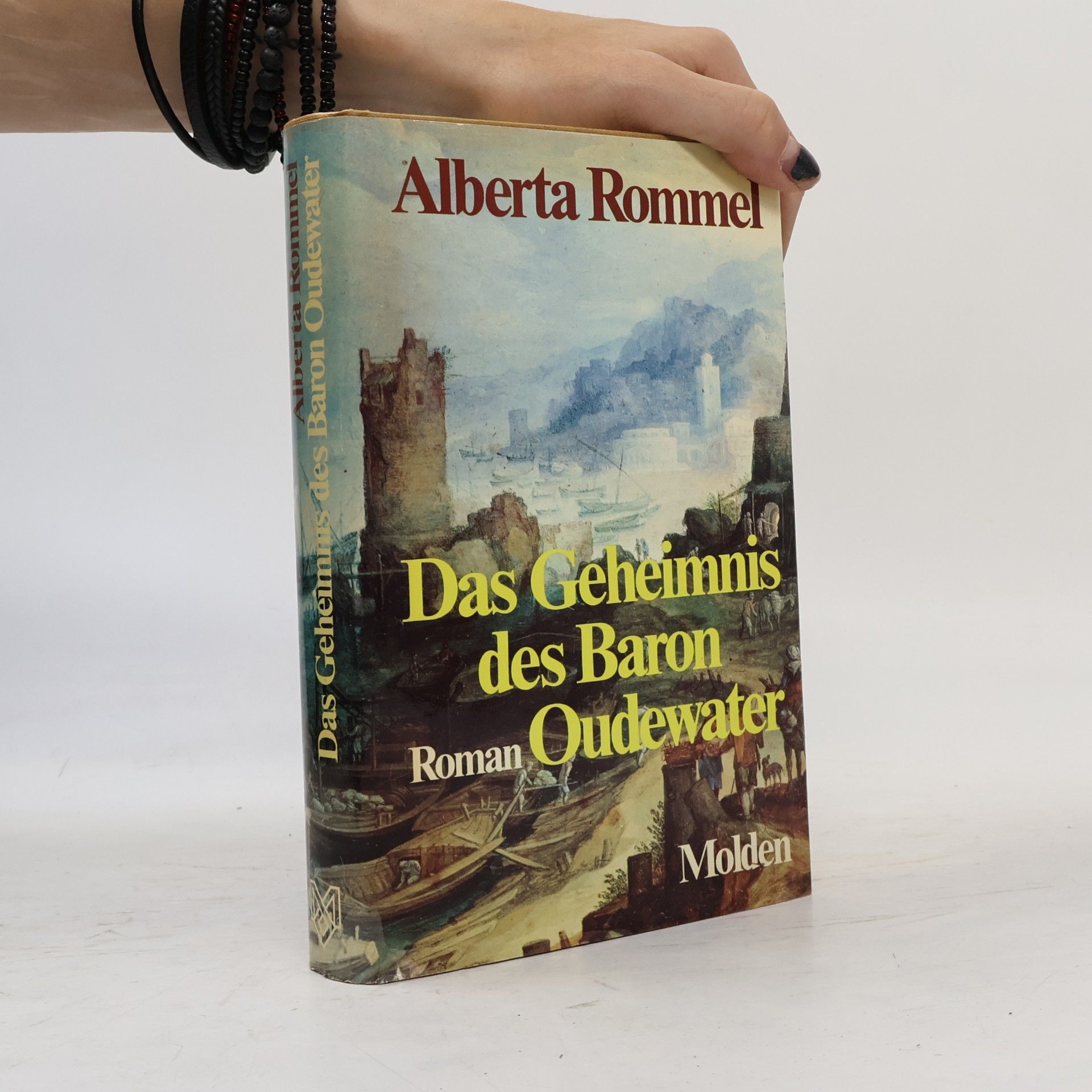 Alberta Rommel Das Geheimnis des Baron Oudewater