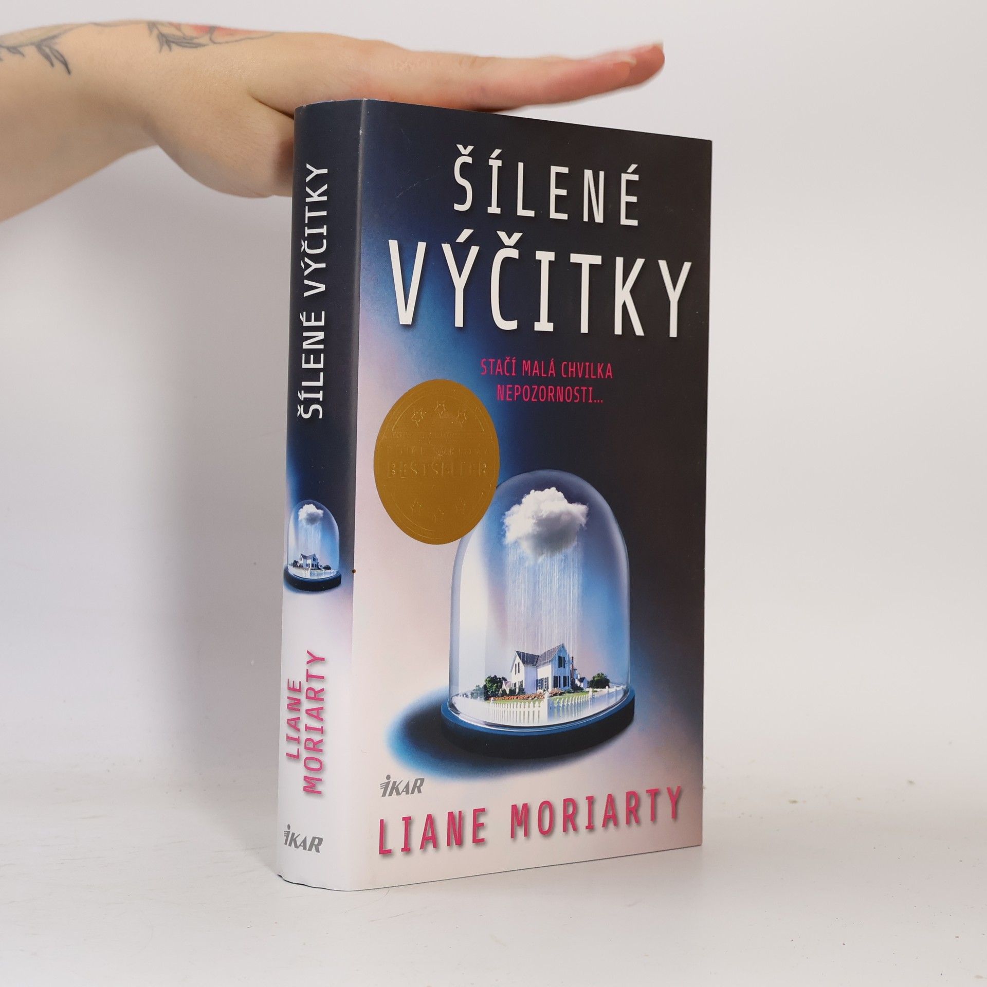 Liane Moriarty Šílené výčitky