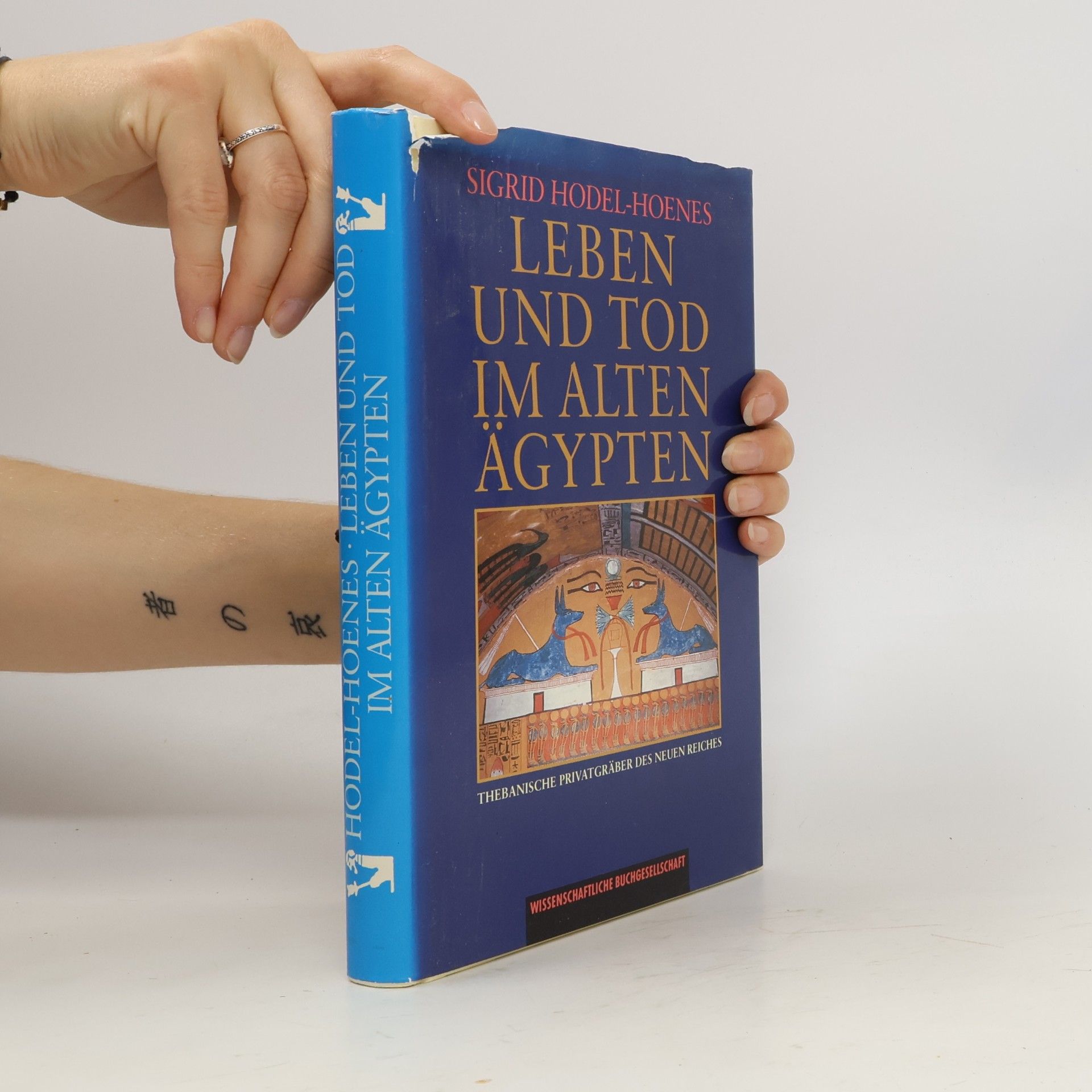 Sigrid Hodel-Hoenes Leben und Tod im Alten Ägypten