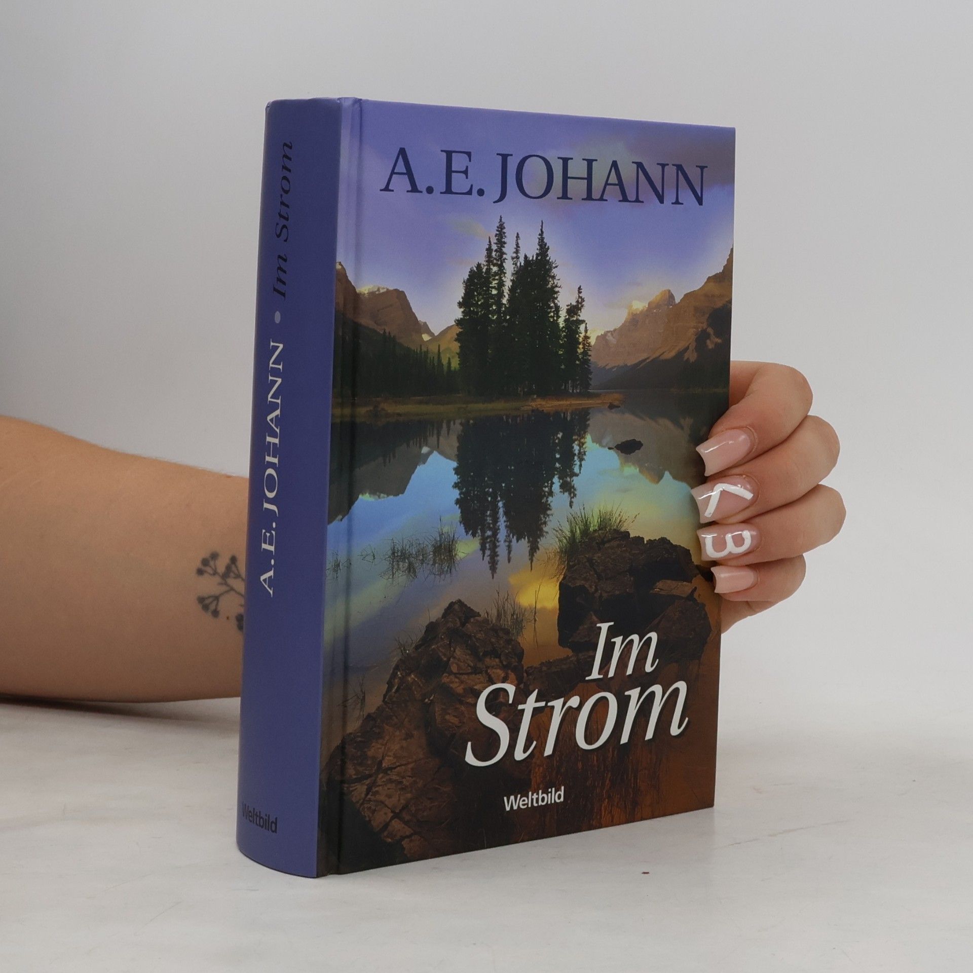 Alfred E. Johann Im Strom