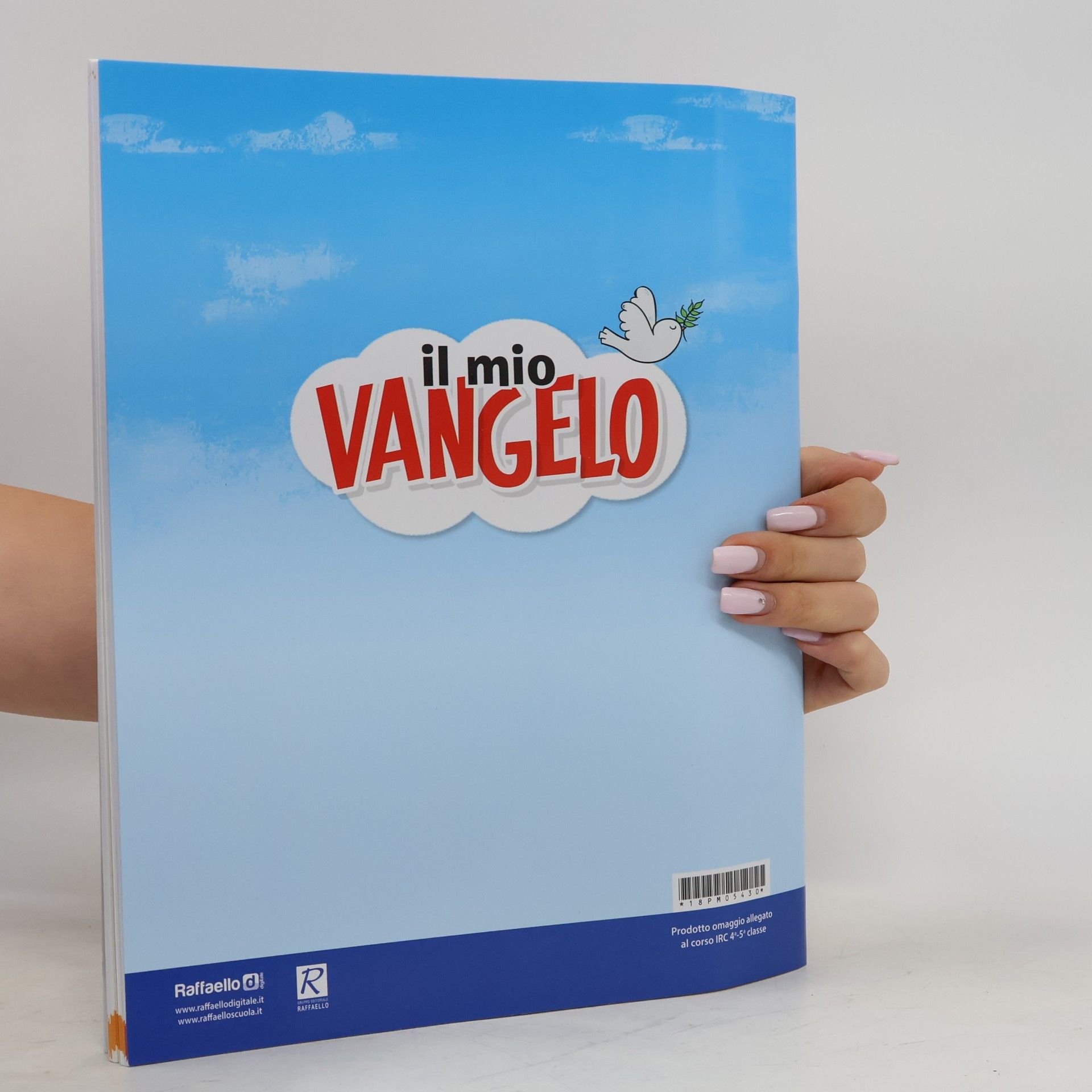 AA.VV. Il mio vangelo