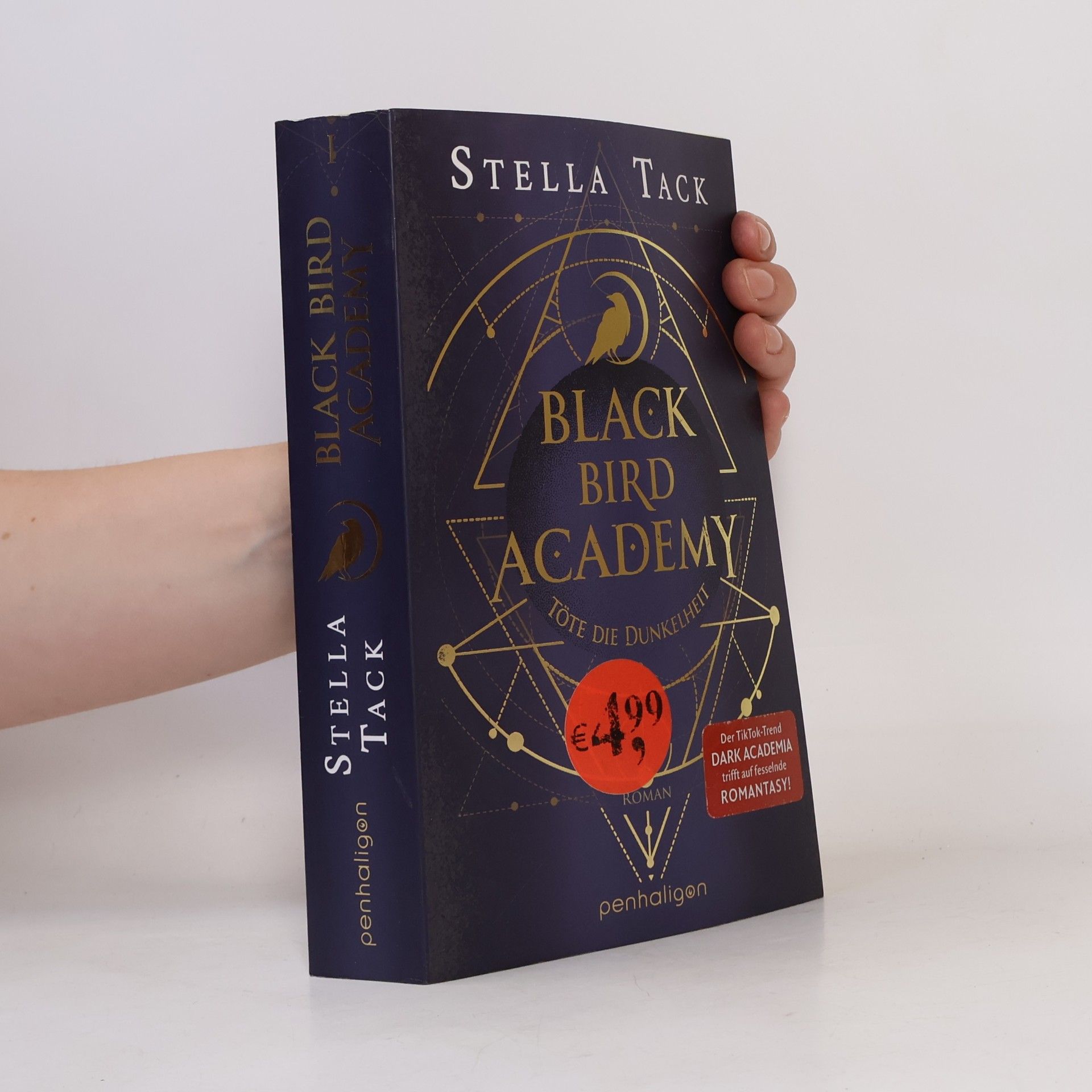 Stella Tack Black Bird Academy - Töte die Dunkelheit