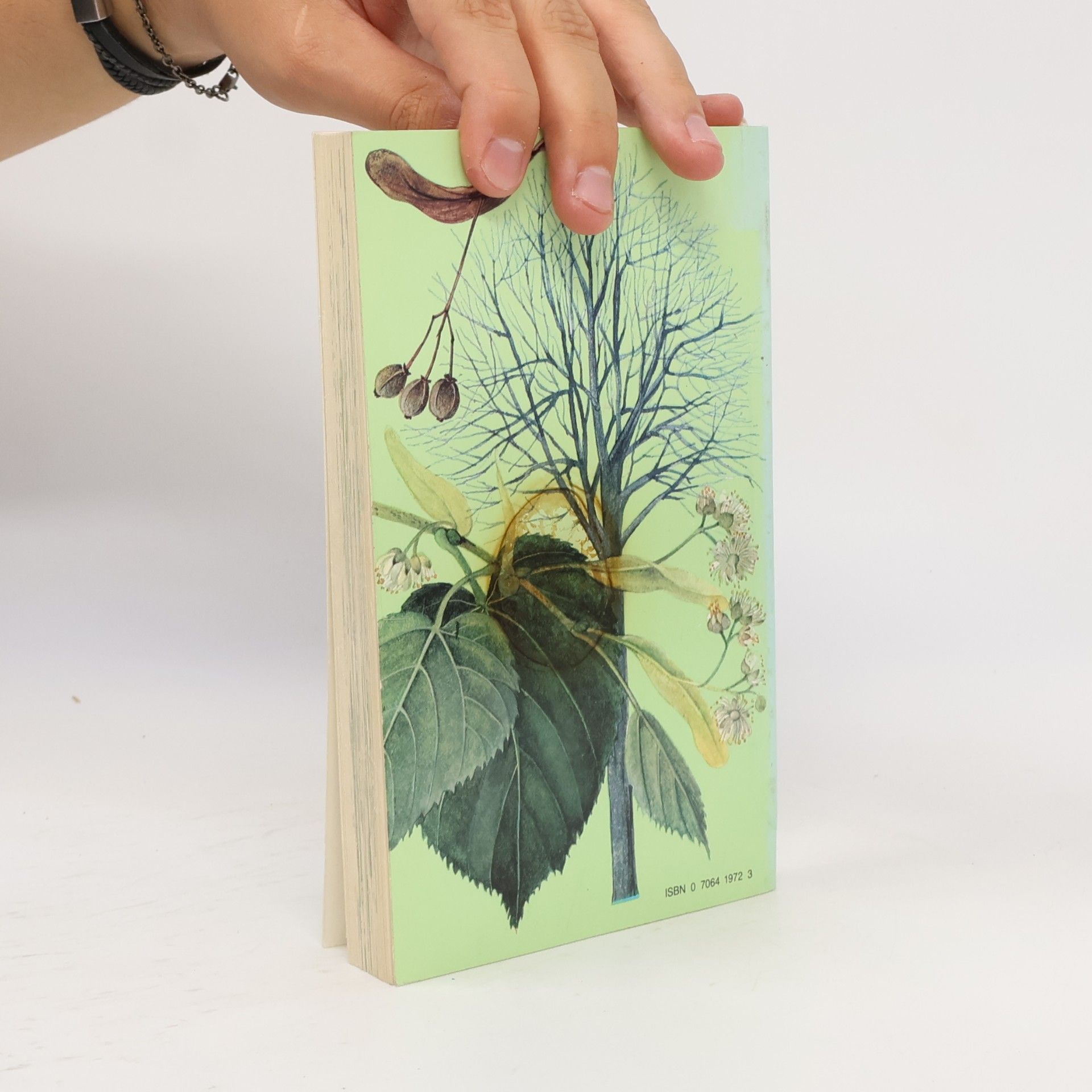 Jaromír Pokorný A colour guide to familiar trees, leaves, bark and fruit