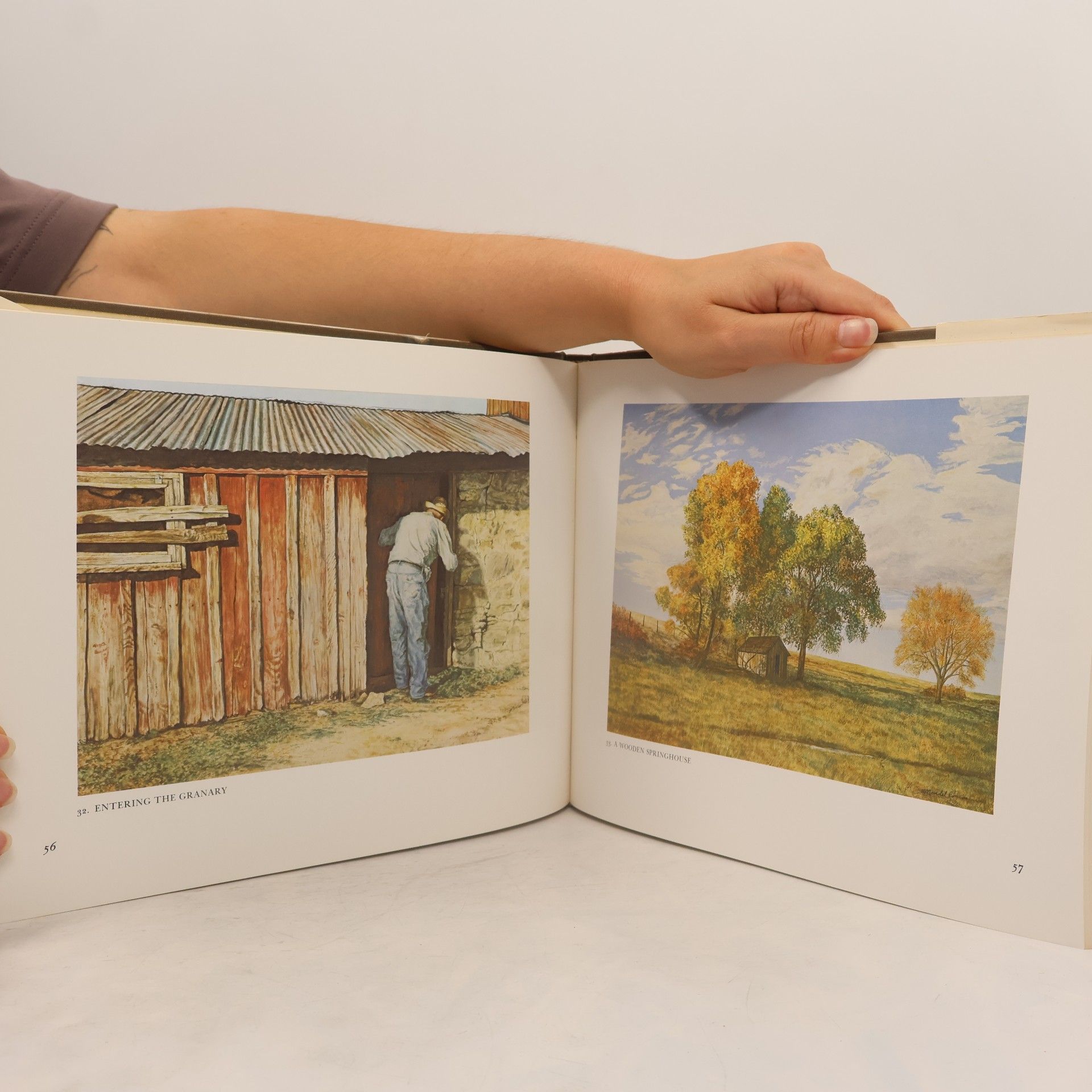 Mondel Rogers Old Ranches of the Texas Plains
