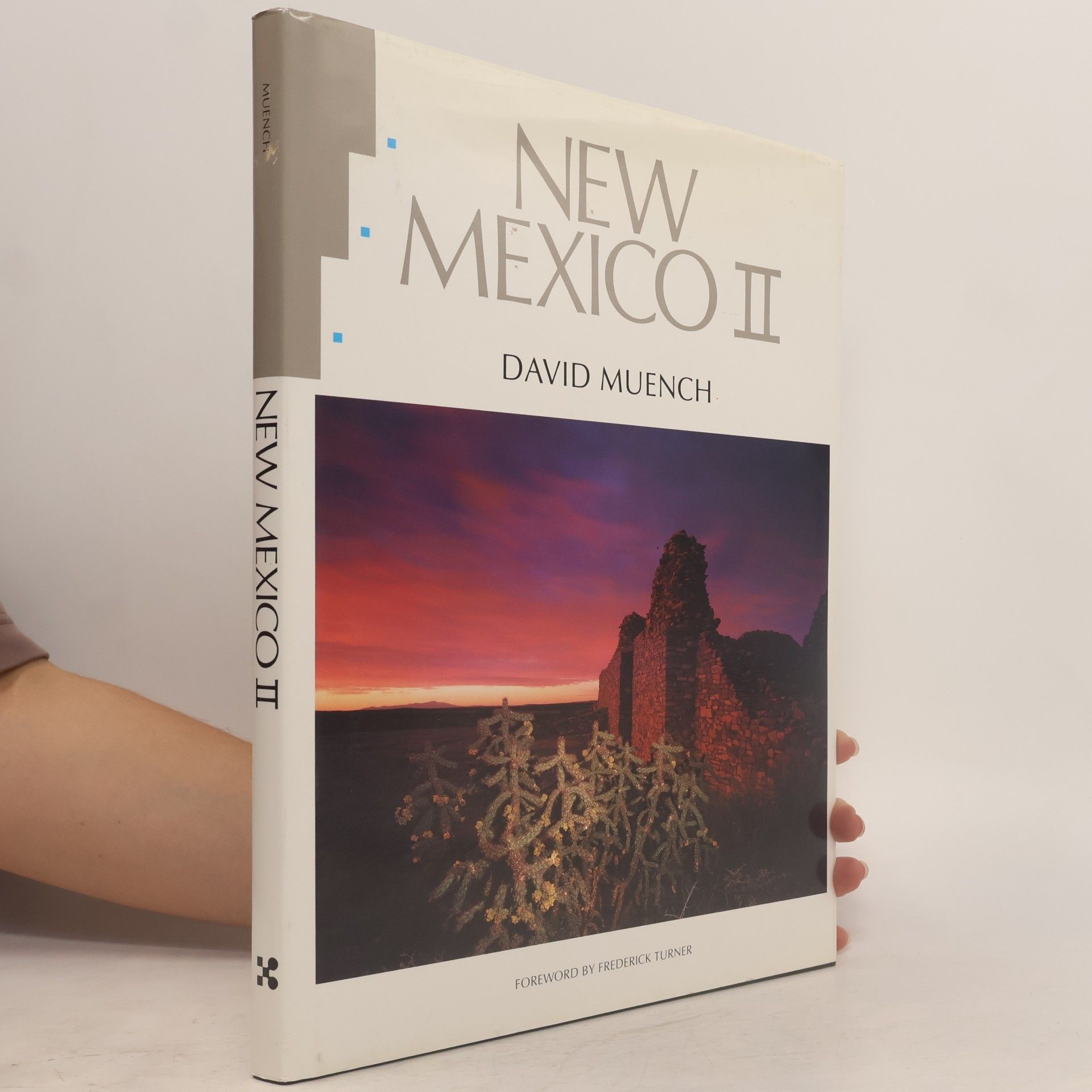 David Muench New Mexico II